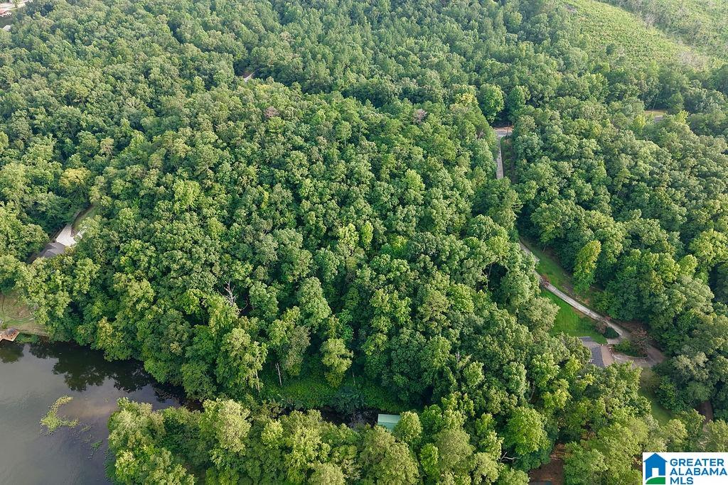16th image of 1145 County Road 759, Clanton, AL 35046 | MLS# 21460753