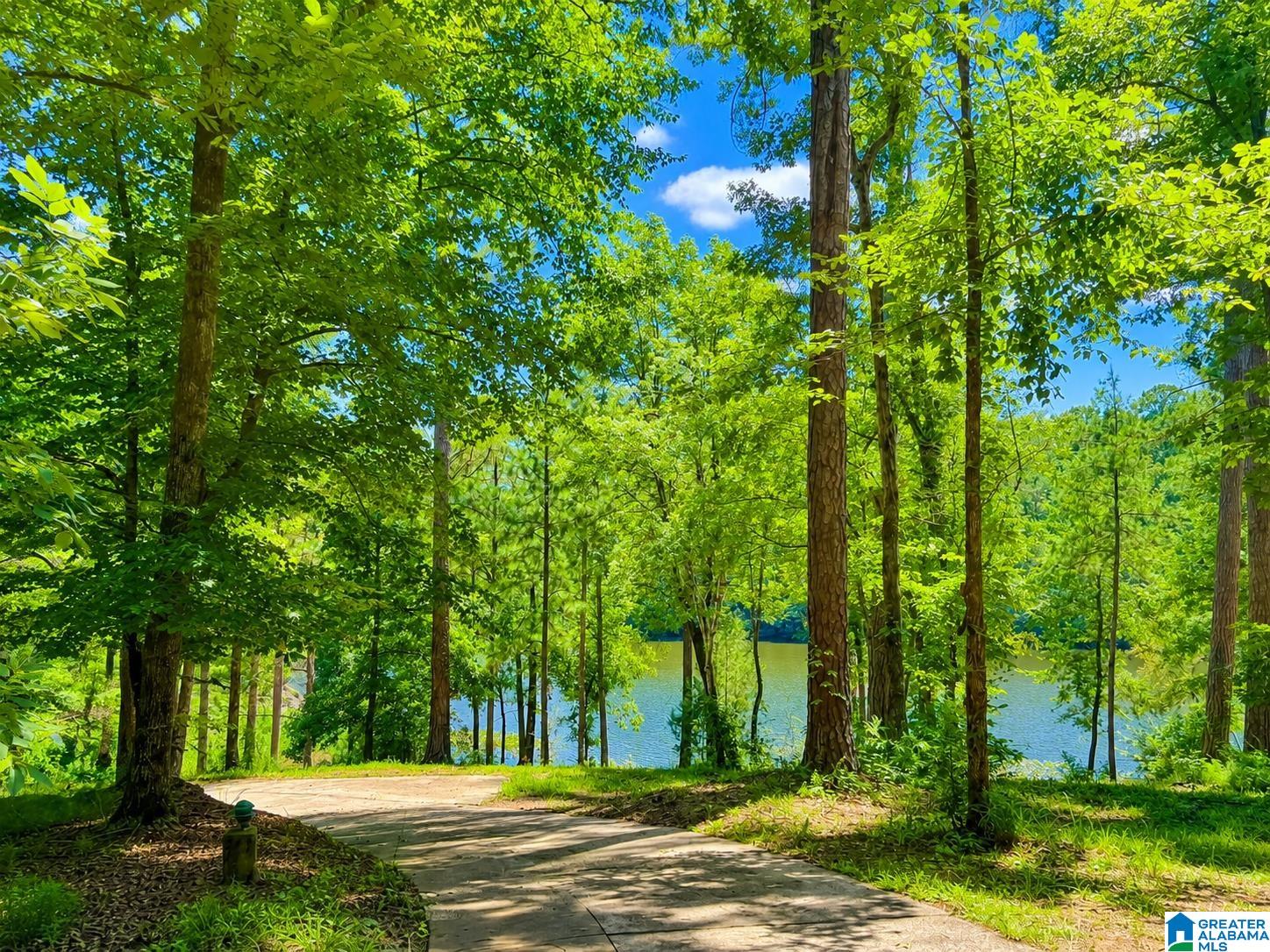 Single family home for sale at 15765 Highway 145, SHELBY, AL 35143 | MLS# 21460776