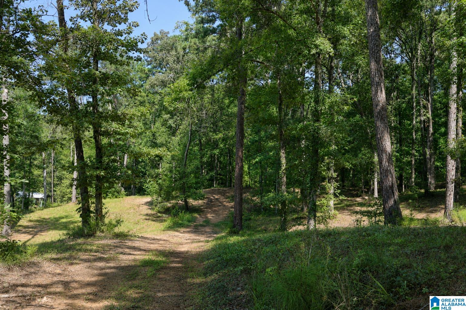 3rd image of 15765 Hwy 145, Shelby, AL 35143 | MLS# 21460776