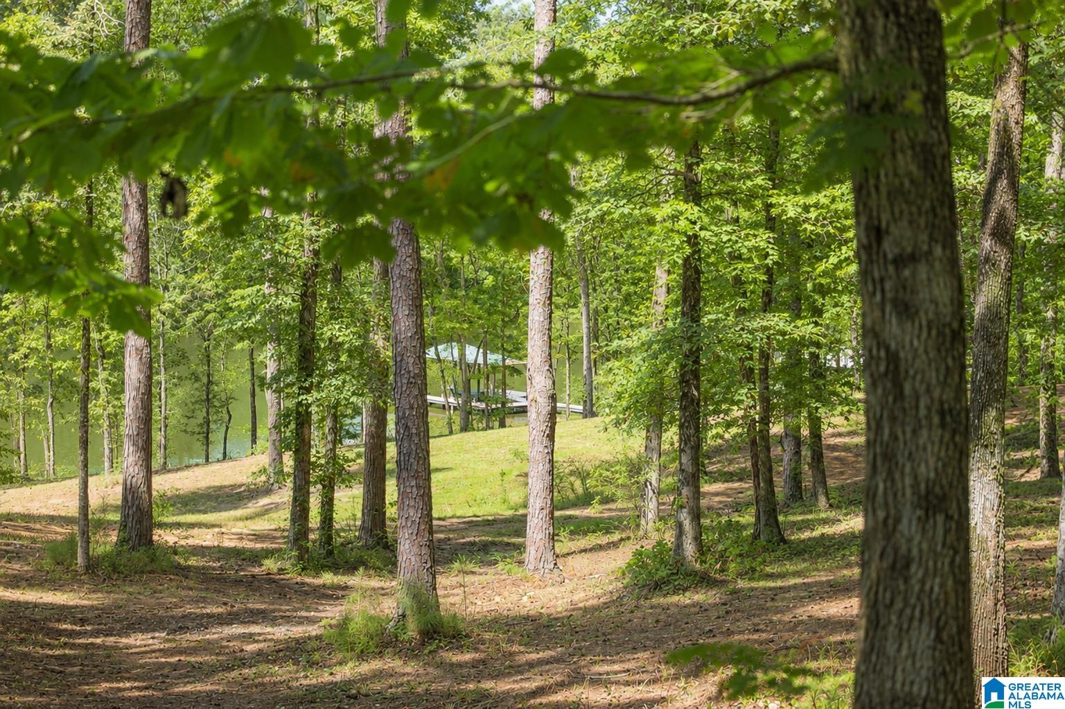 4th image of 15765 Hwy 145, Shelby, AL 35143 | MLS# 21460776