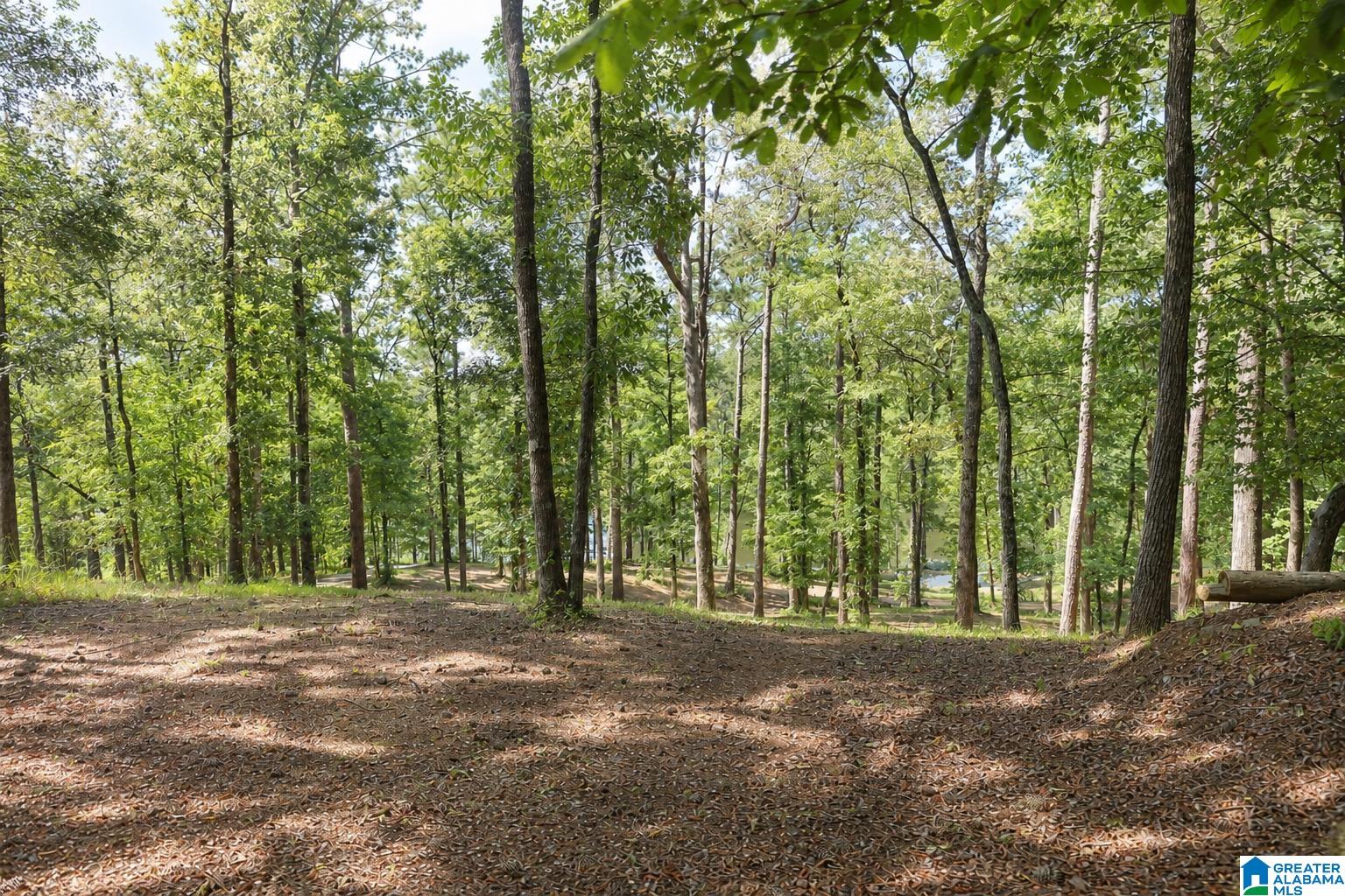 5th image of 15765 Hwy 145, Shelby, AL 35143 | MLS# 21460776
