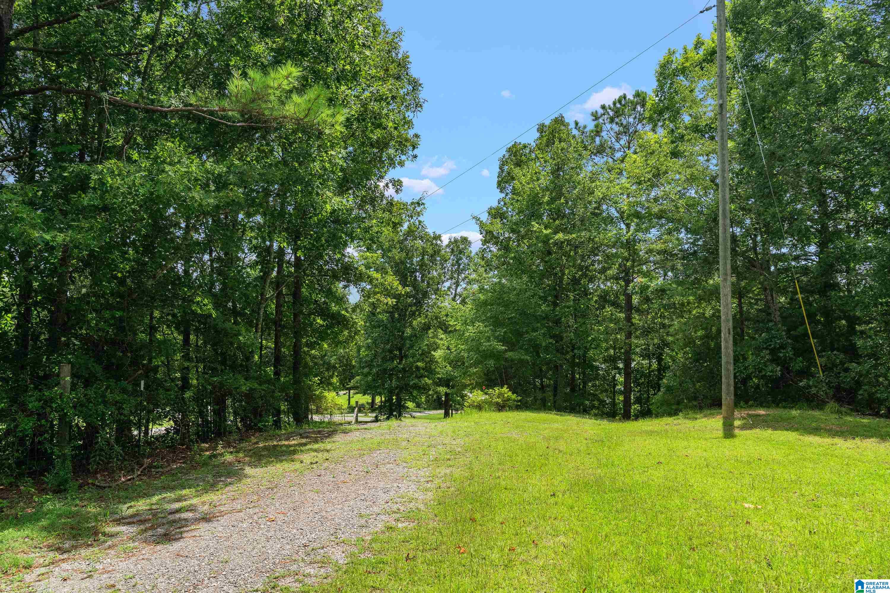 58th image of 1283 Rogers Road, Oneonta, AL 35121 | MLS# 21460789