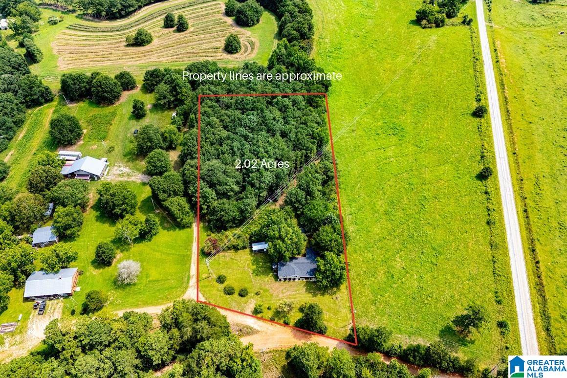 3rd image of 1419 County Road 480, Woodland, AL 36280 | MLS# 21460795