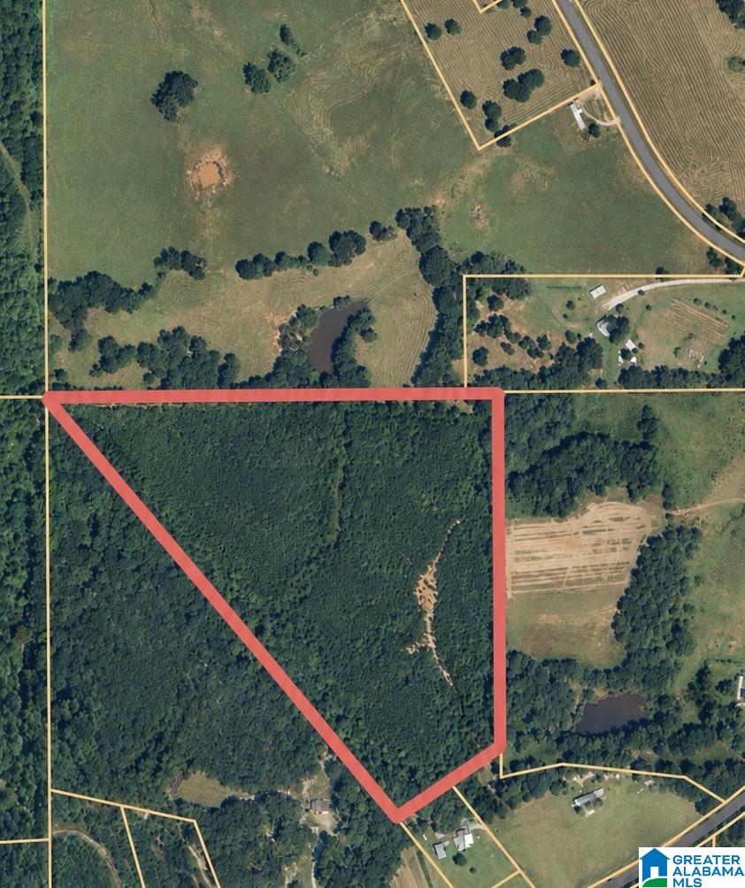 1st image of 0 County Road 216, Thorsby, AL 35171 | MLS# 21460802