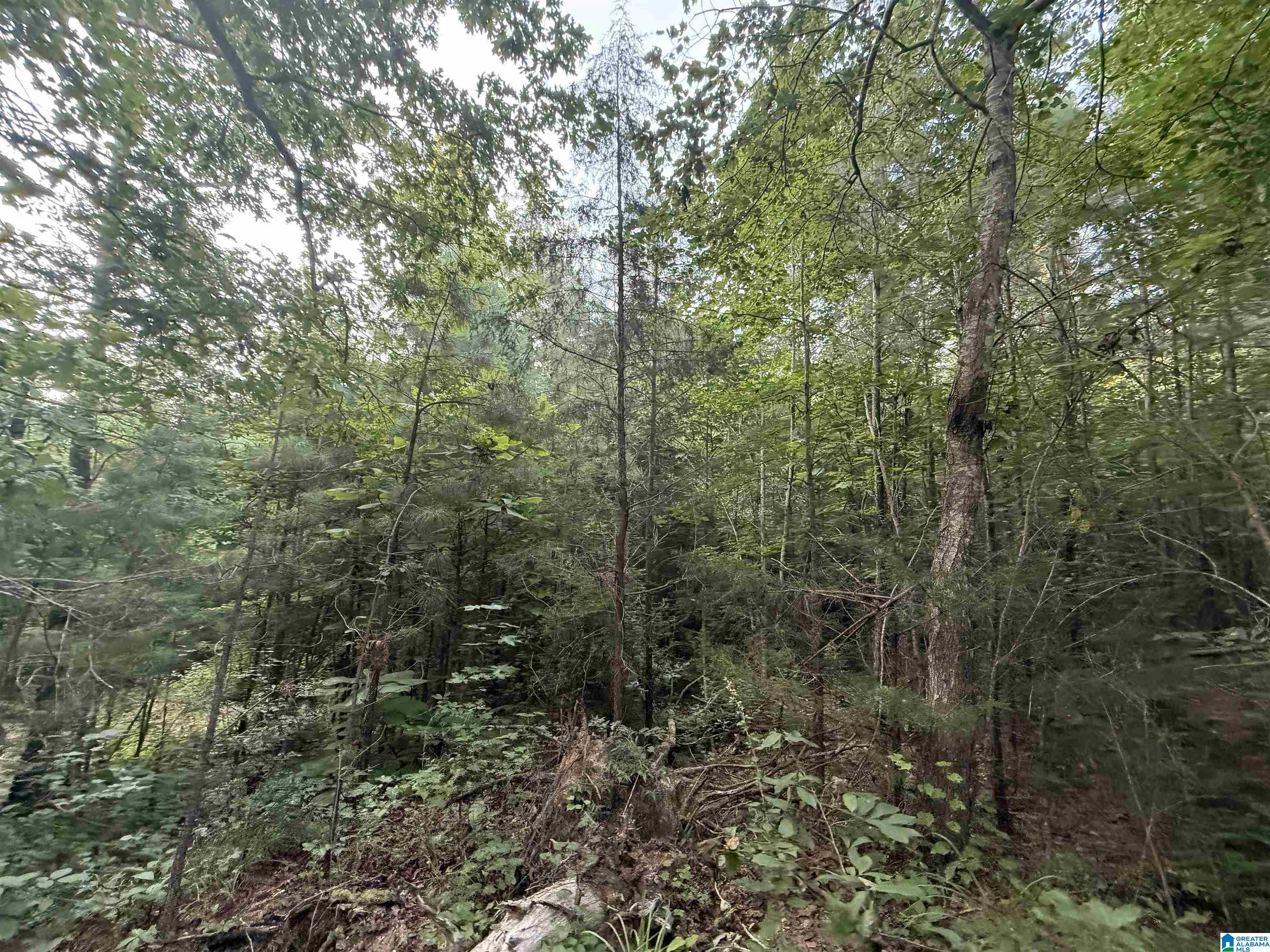 2nd image of 0 County Road 216, Thorsby, AL 35171 | MLS# 21460802