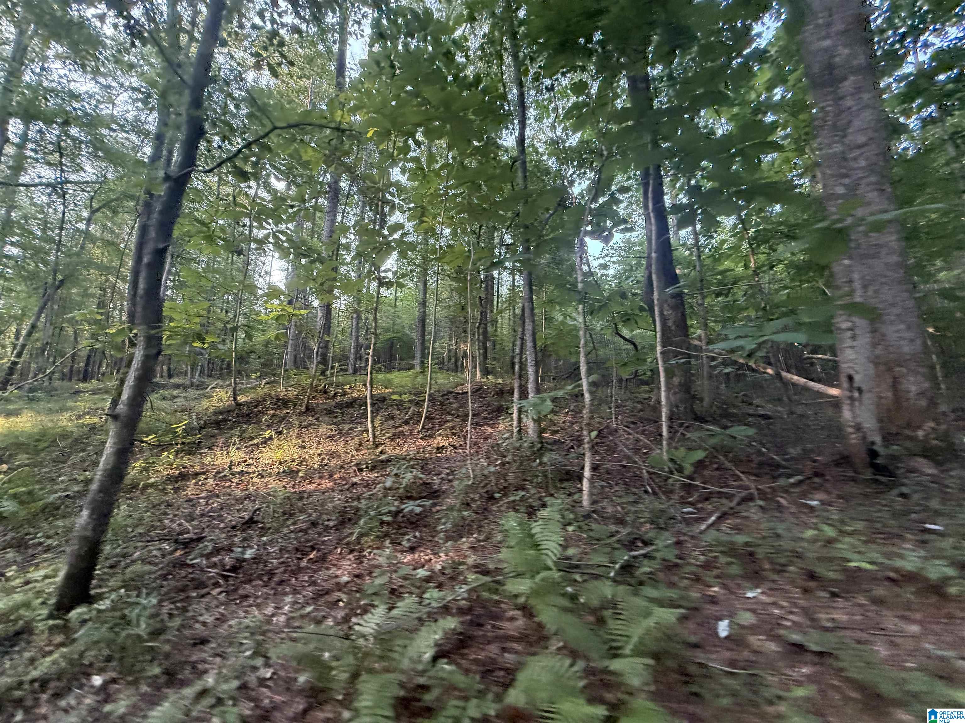 4th image of 0 County Road 216, Thorsby, AL 35171 | MLS# 21460802