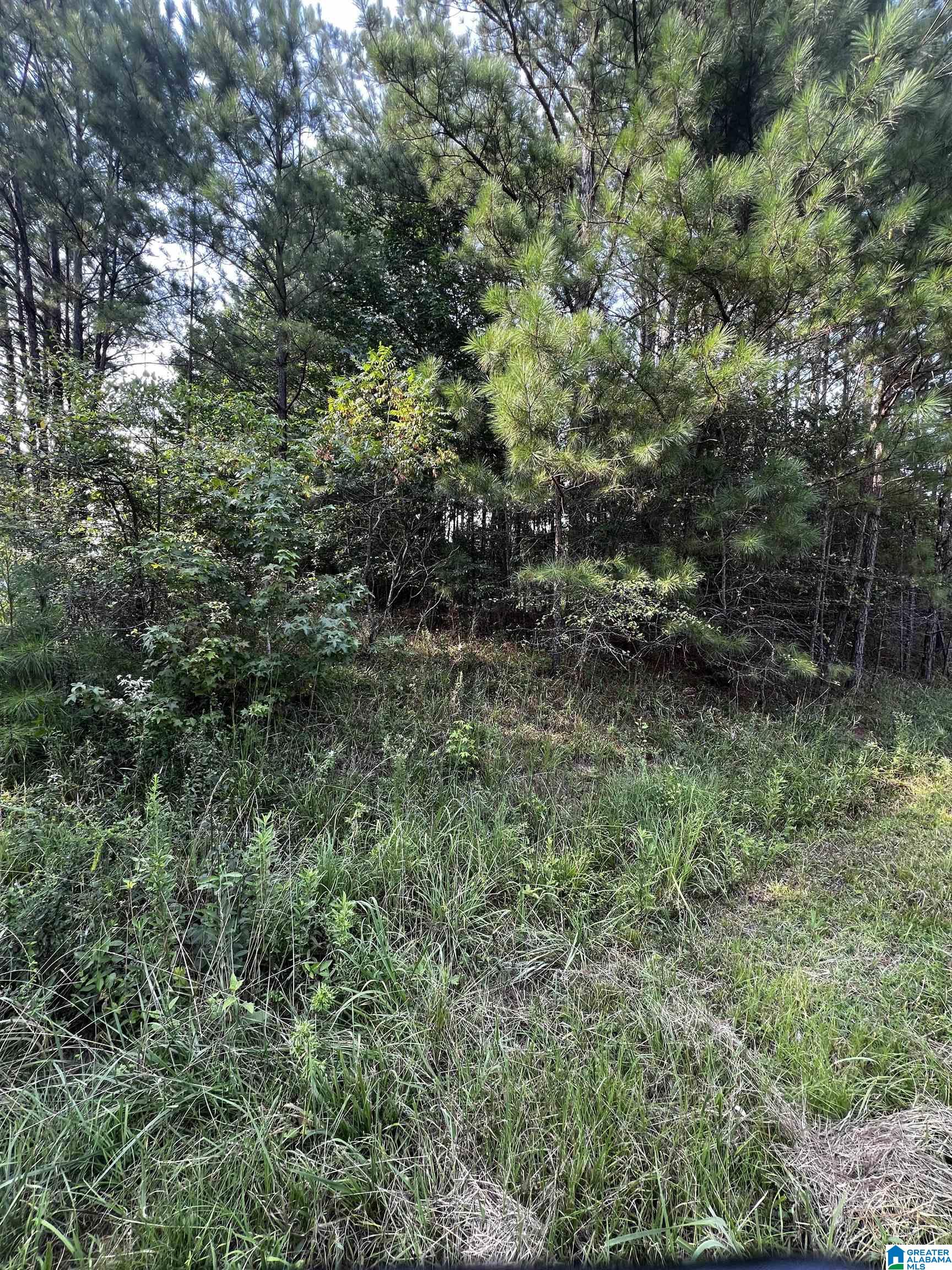 2nd image of O Solar Shield Boulevard, Odenville, AL 35120 | MLS# 21460823