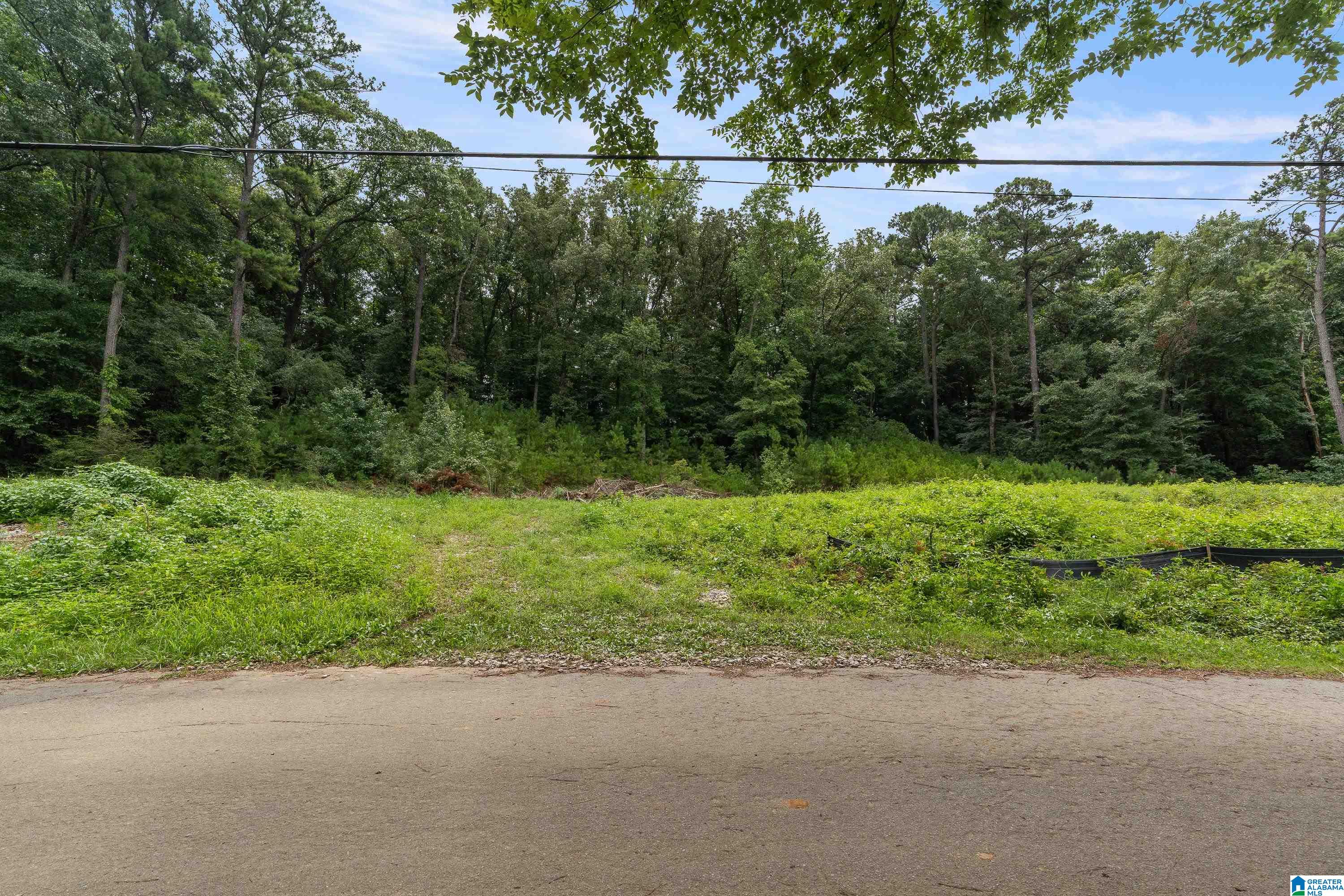 Photo 3 of Land for sale at 3037 Vance St, Pelham, AL 35124 | MLS# 21460837 | Listing updated on 2026-08-04