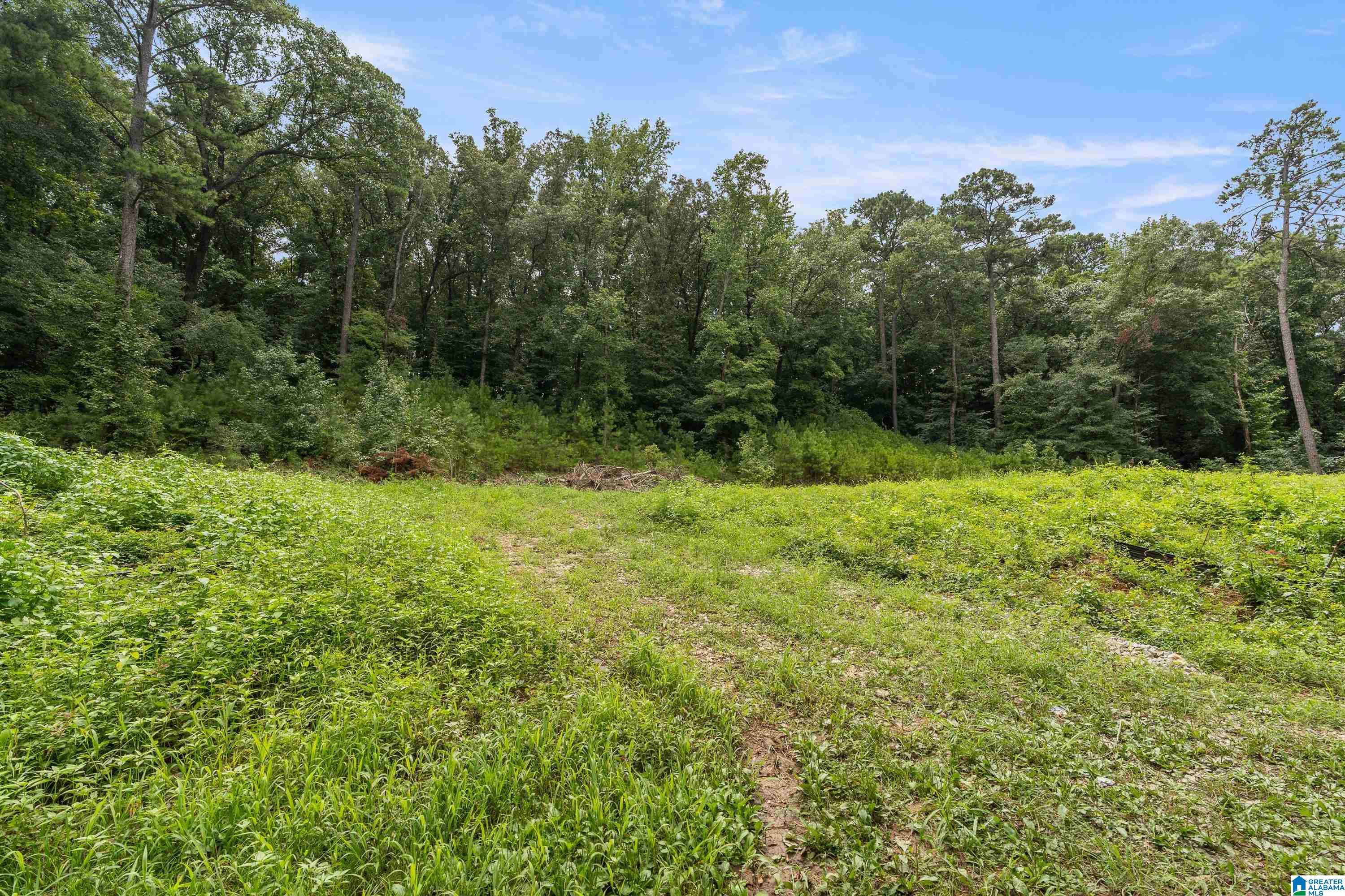 Photo 3 of Land for sale at 3037 Vance St, Pelham, AL 35124 | MLS# 21460837 | Listing updated on 2026-08-04