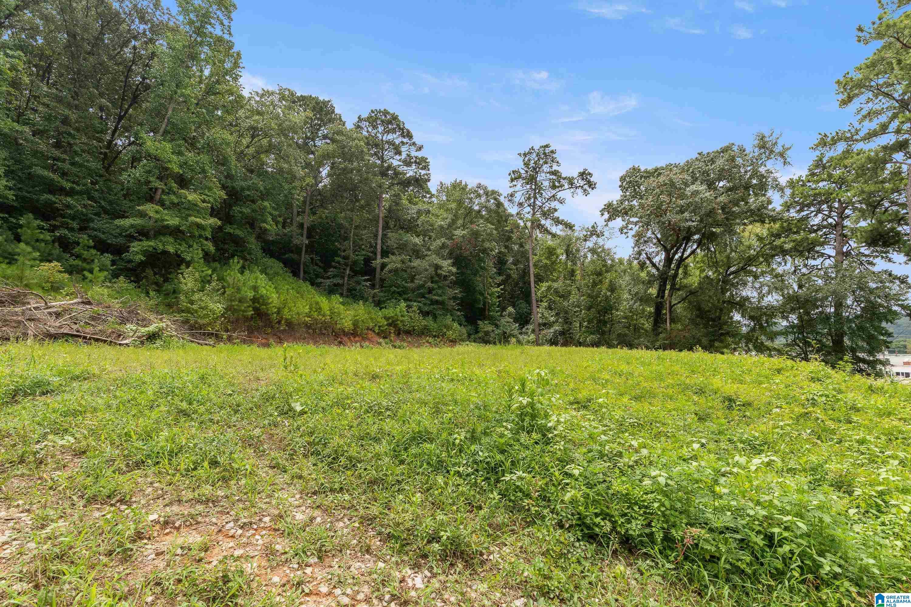 Photo 4 of Land for sale at 3037 Vance St, Pelham, AL 35124 | MLS# 21460837 | Listing updated on 2026-08-04
