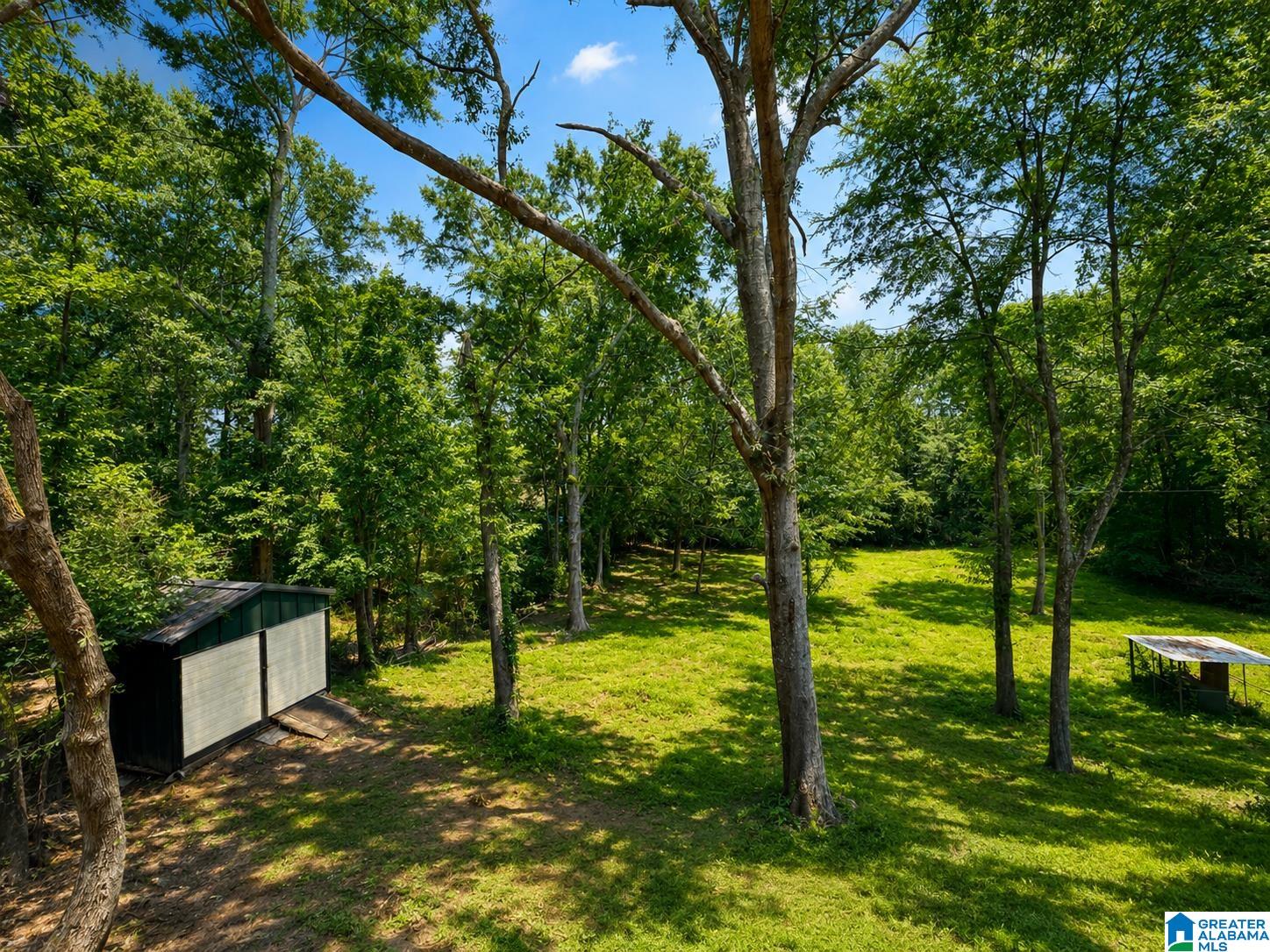 35th image of 3820 County Road 77, Columbiana, AL 35051 | MLS# 21460874