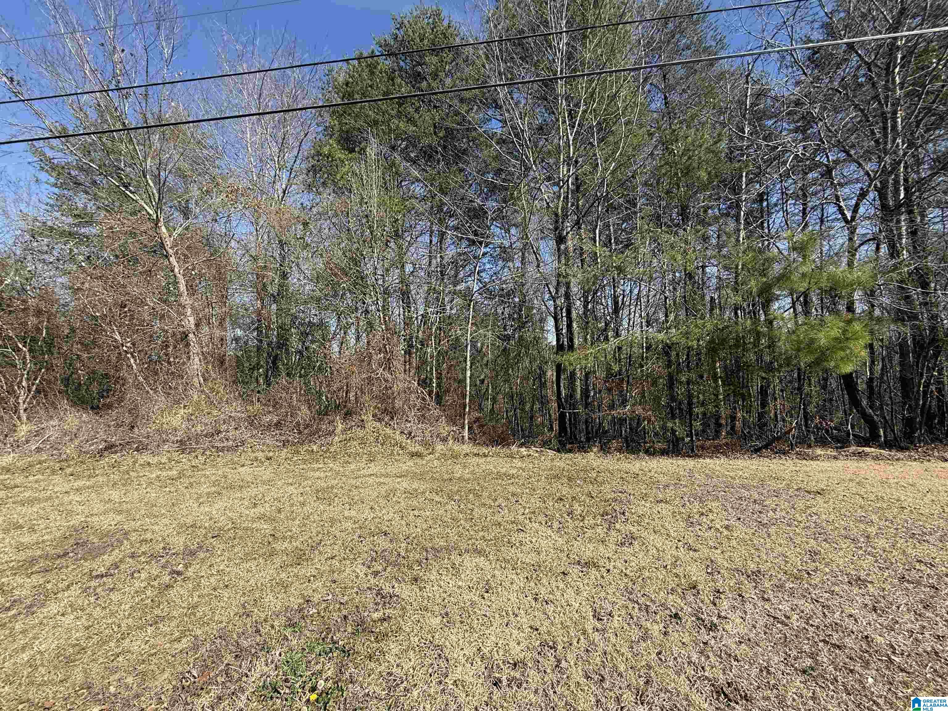 Photo 3 of Land for sale at 6430 Aspen Ln, Bessemer, AL 35023 | MLS# 21460921 | Listing updated on 2026-08-01