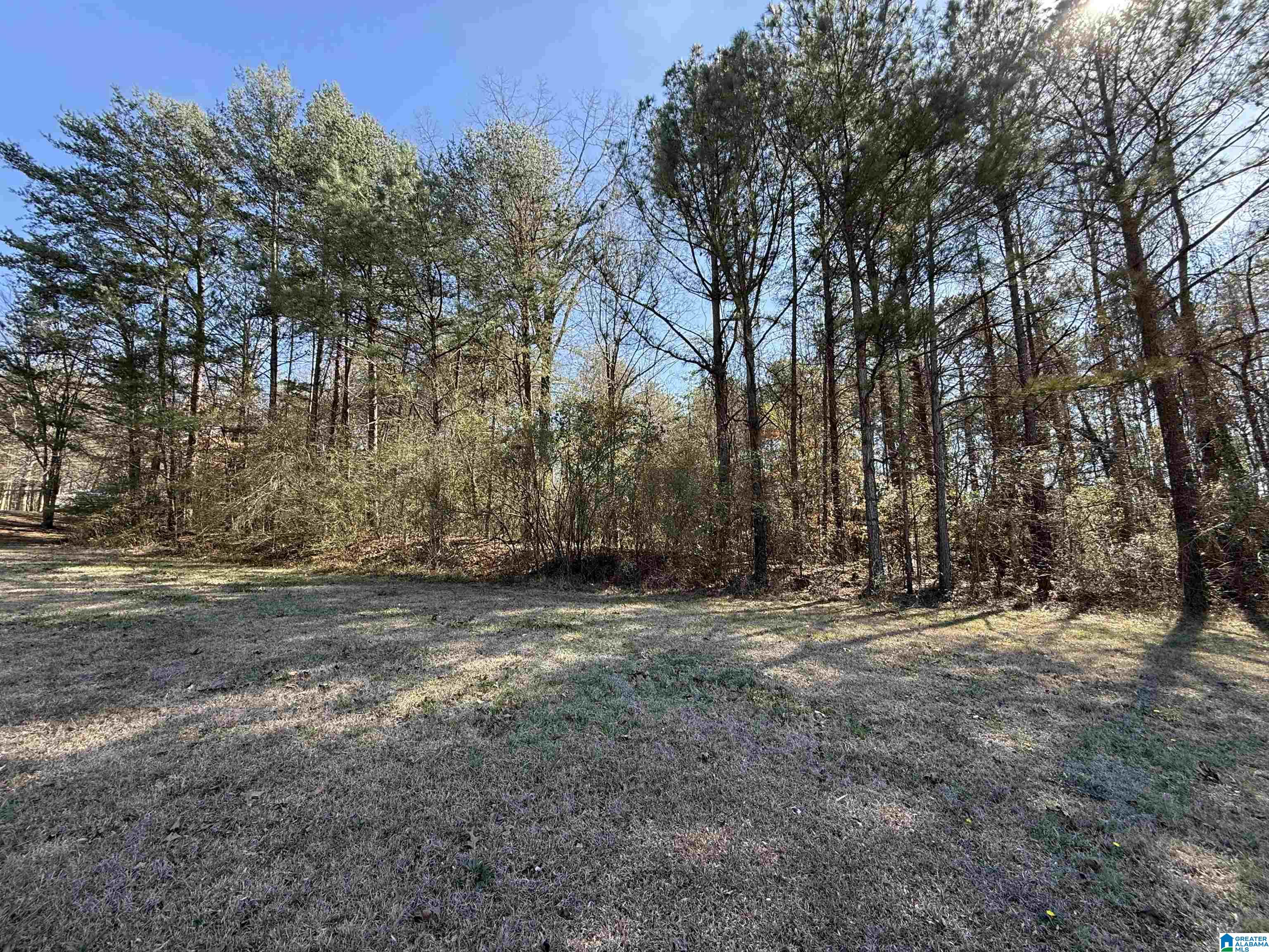 4th image of 6480 White Oak Lane, Bessemer, AL 35023 | MLS# 21460923