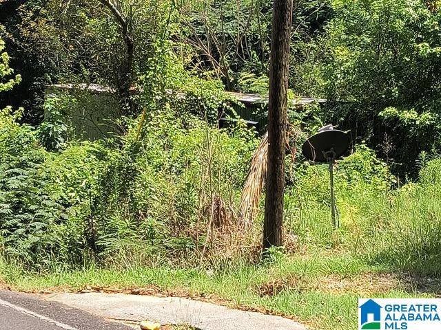 41st image of 2232 Main Street, Irondale, AL 35210 | MLS# 21460933