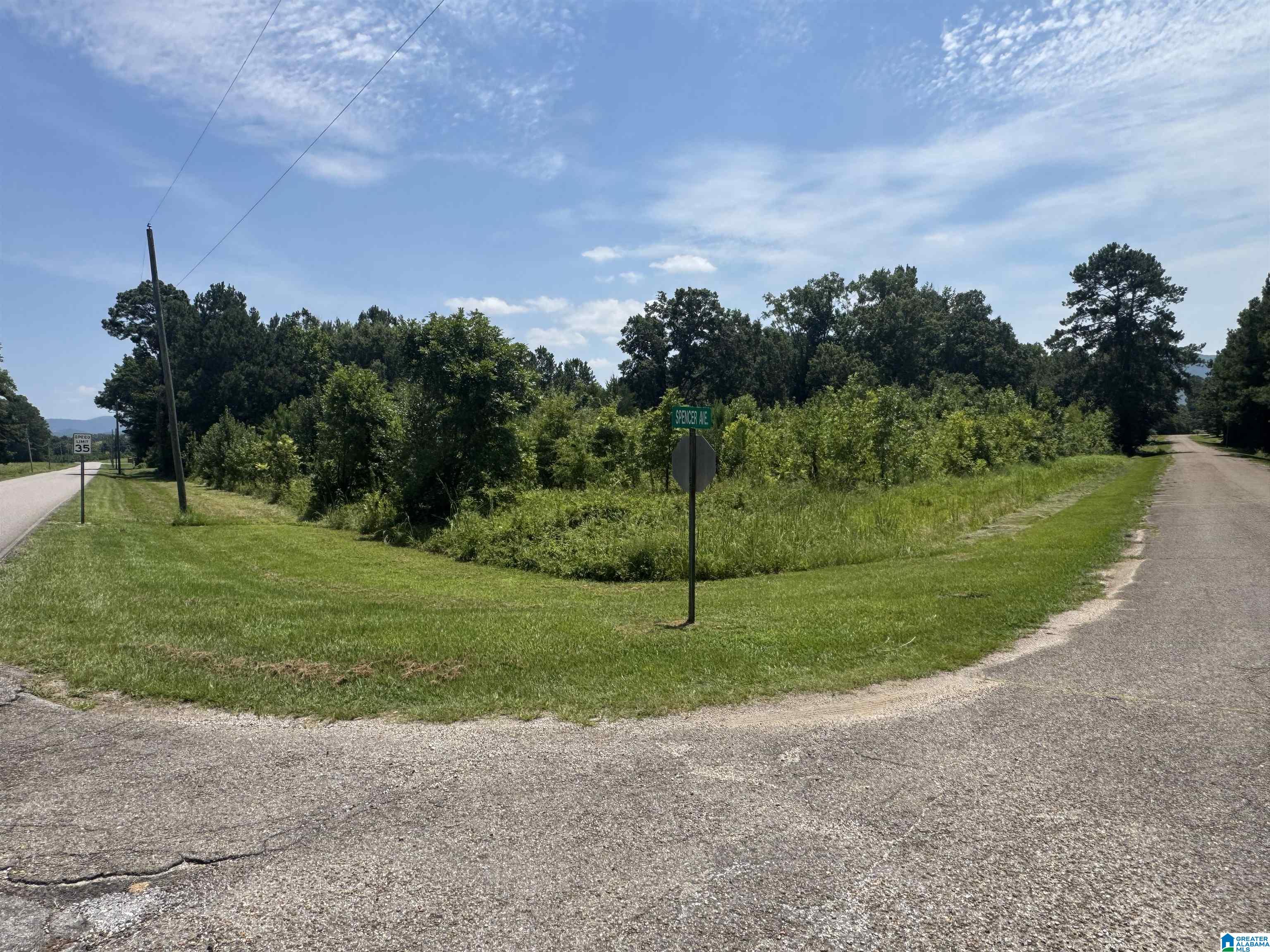 7 Acres SPENCER AVENUE