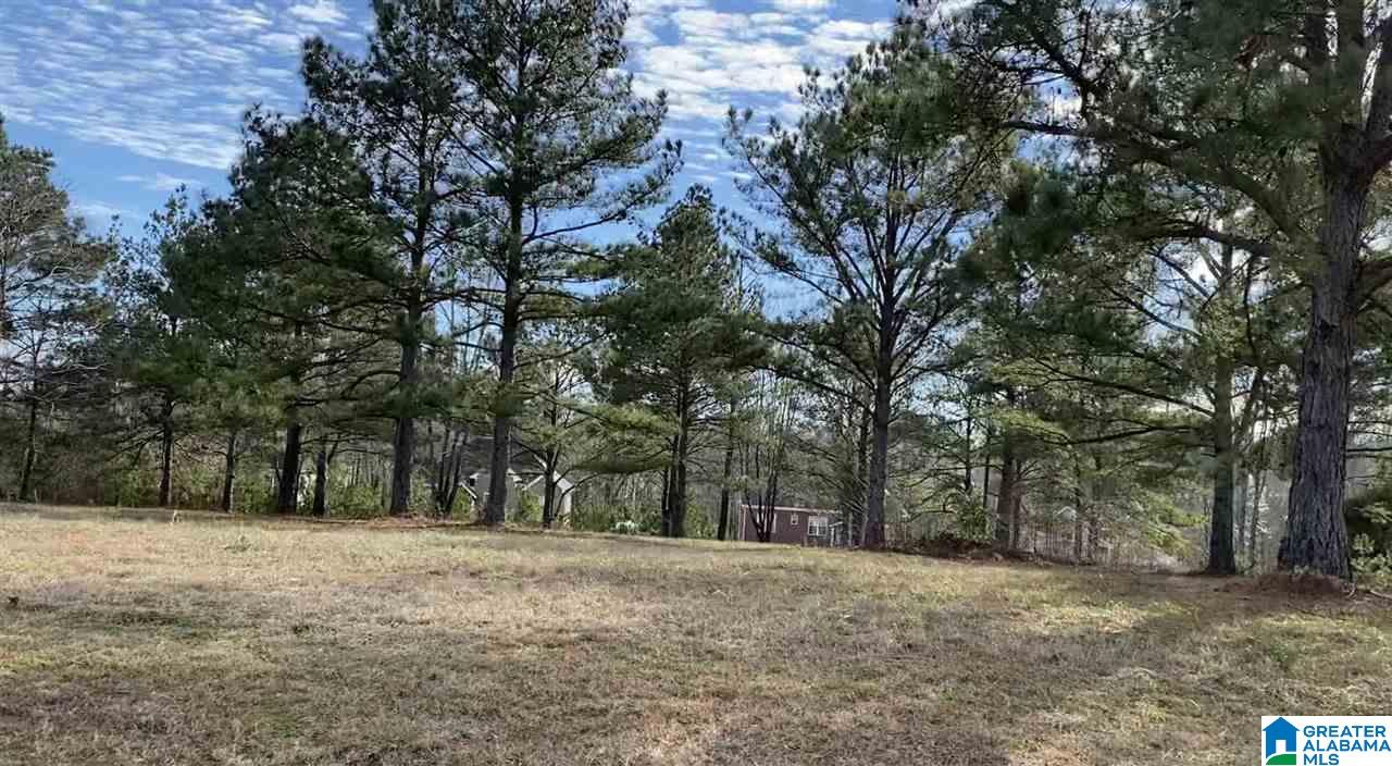 13th image of Lot 24 County Road 70, Thorsby, AL 35171 | MLS# 21460957