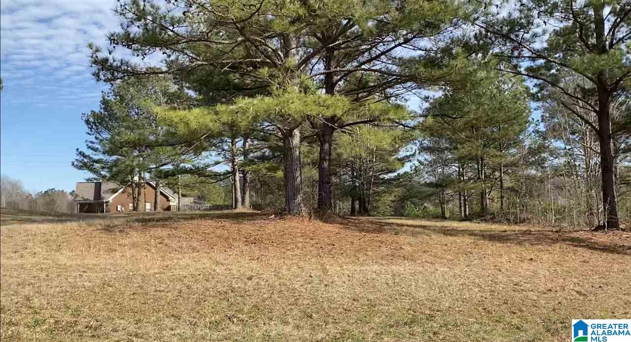 5th image of Lot 24 County Road 70, Thorsby, AL 35171 | MLS# 21460957
