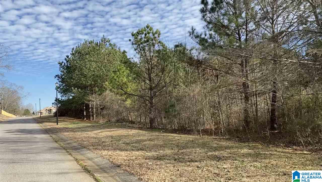 2nd image of Lot 10 County Road 70, Thorsby, AL 35171 | MLS# 21460981