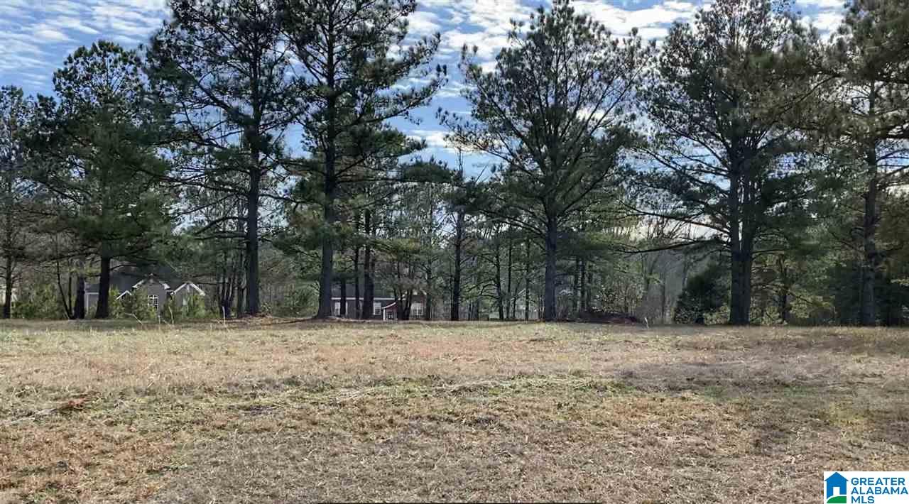 12th image of Lot 12 County Road 70, Thorsby, AL 35171 | MLS# 21460983