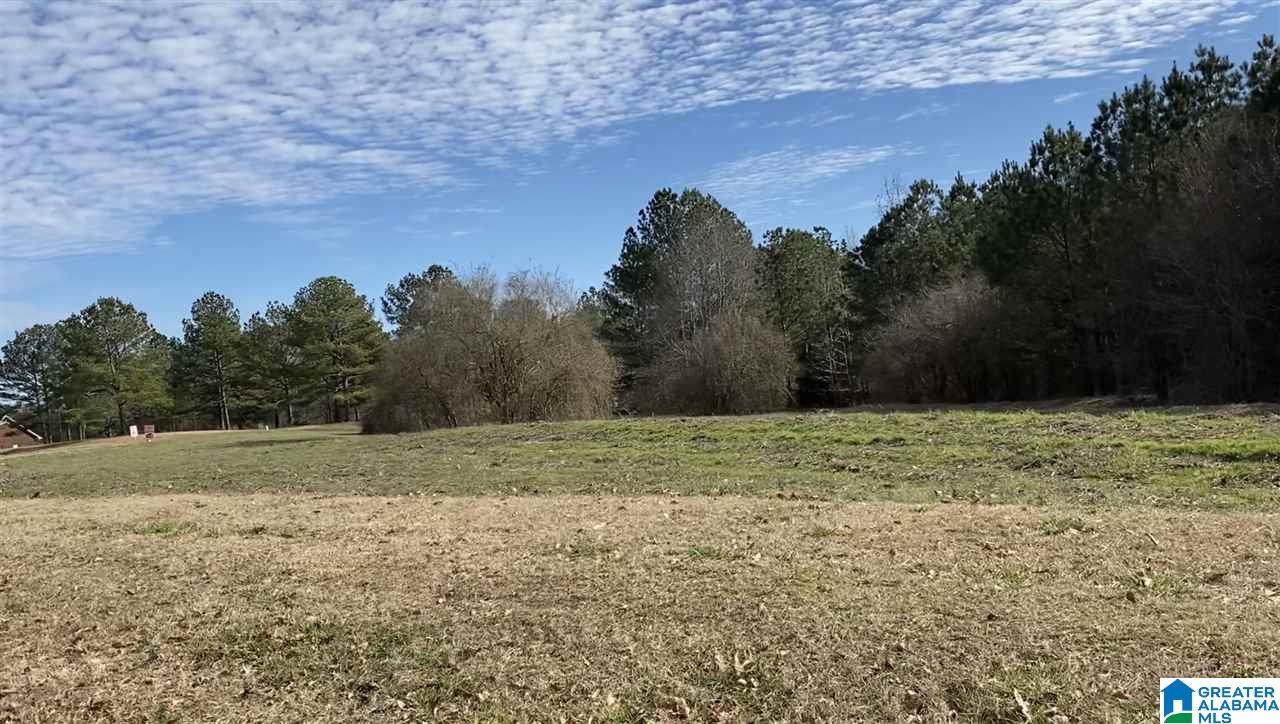 3rd image of Lot 12 County Road 70, Thorsby, AL 35171 | MLS# 21460983