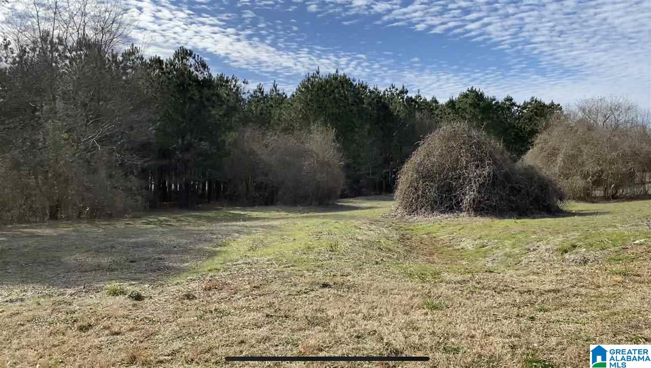 4th image of Lot 12 County Road 70, Thorsby, AL 35171 | MLS# 21460983