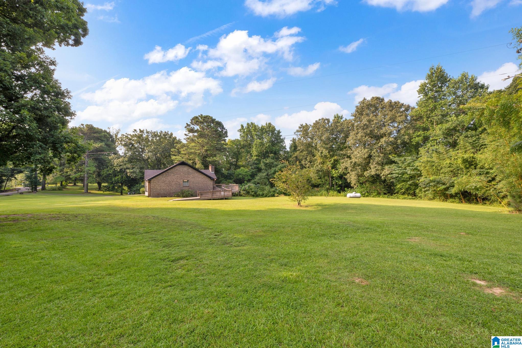 49th image of 3736 White Road, Dora, AL 35062 | MLS# 21460999