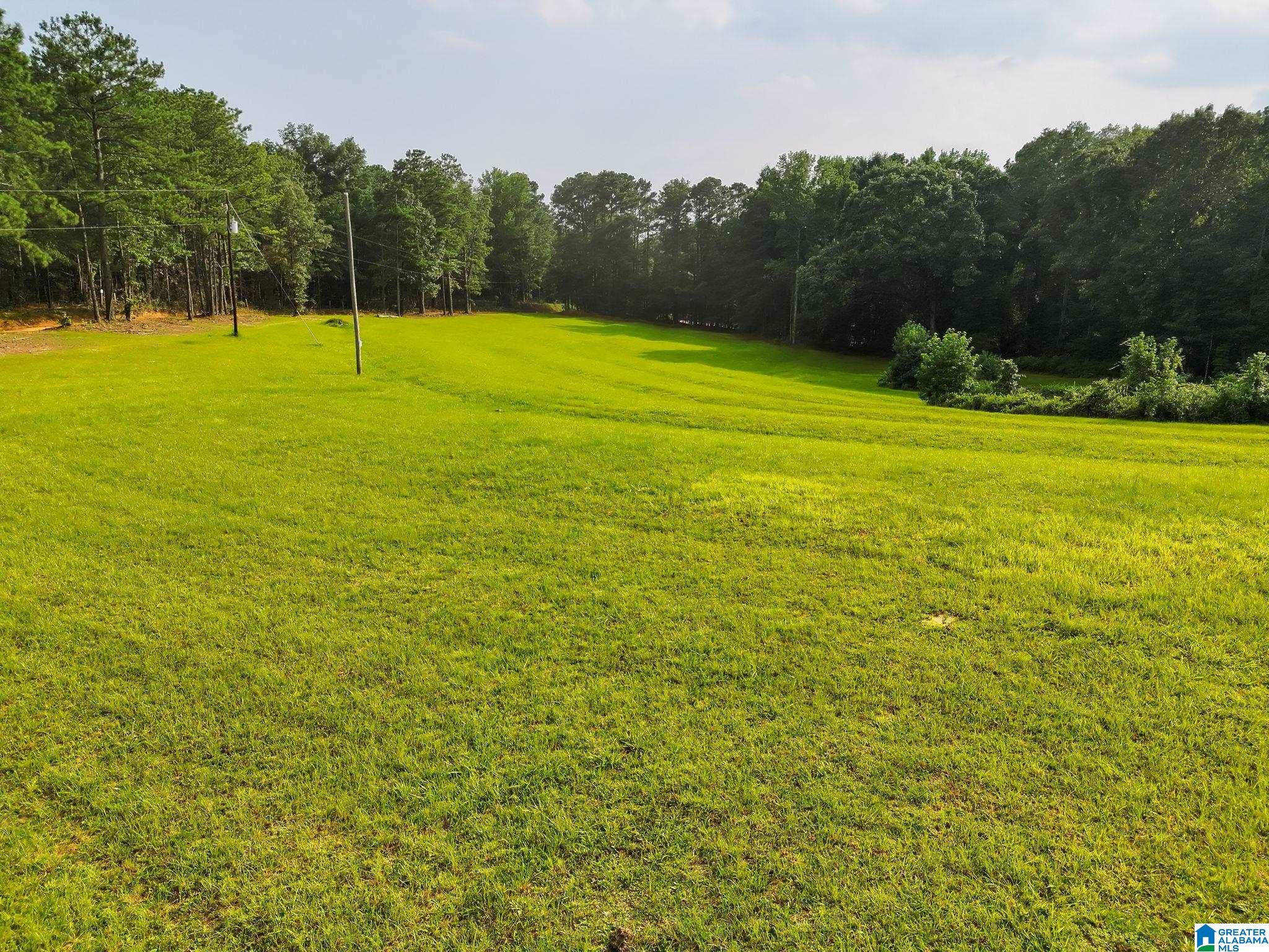 1st image of 00 County Road 133, Jemison, AL 35085 | MLS# 21461005