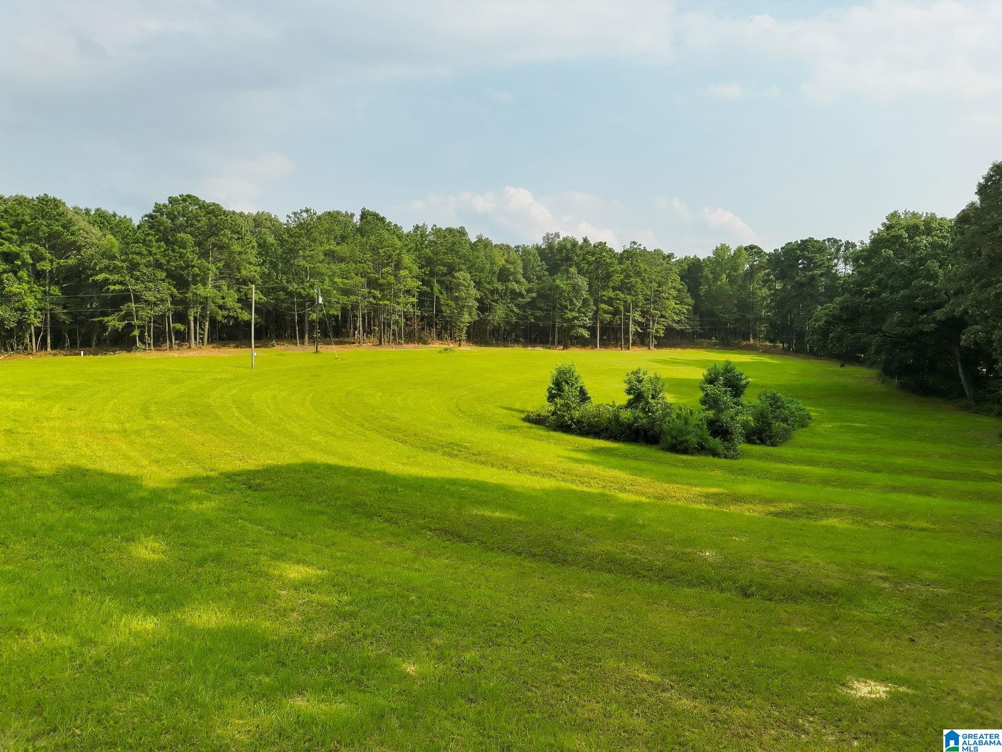 2nd image of 00 County Road 133, Jemison, AL 35085 | MLS# 21461005