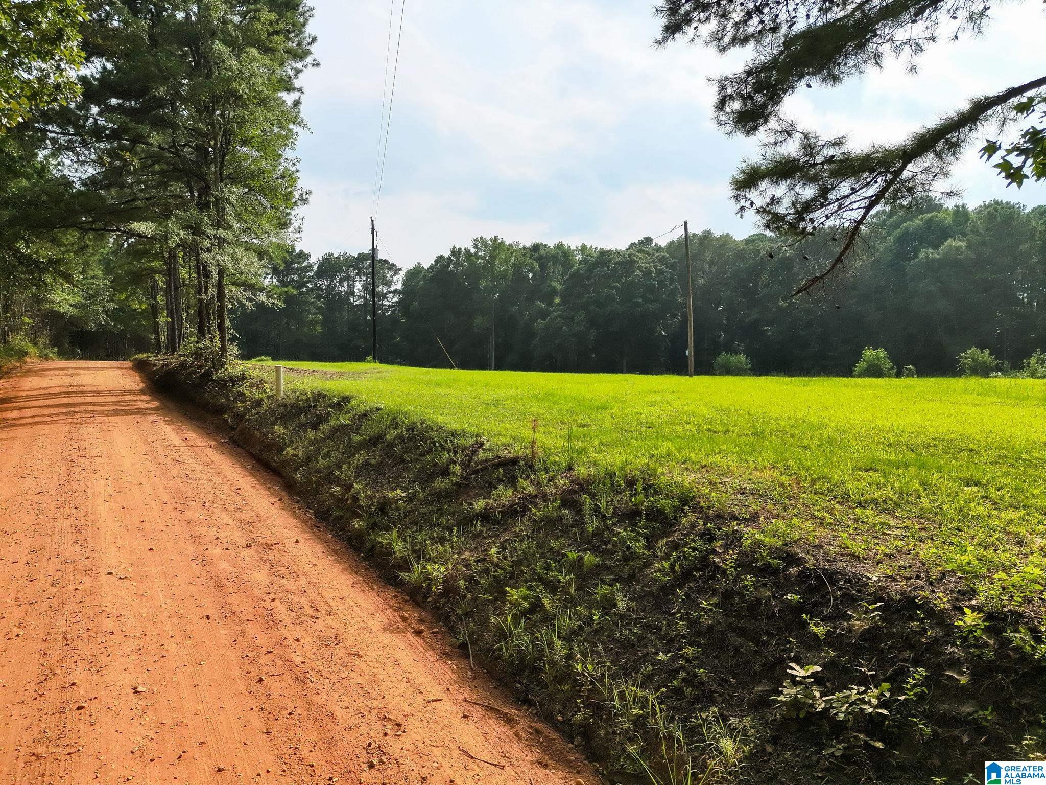 11th image of 00 County Road 133, Jemison, AL 35085 | MLS# 21461005