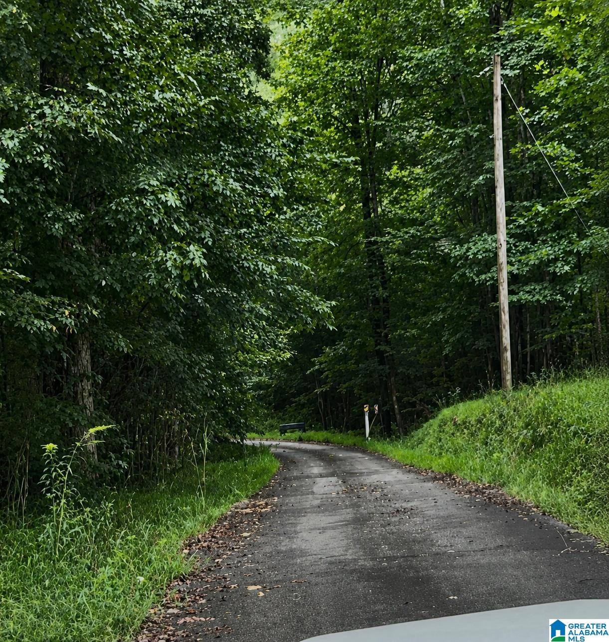 4th image of 18818 Us Hwy 411, Springville, AL 35146 | MLS# 21461054