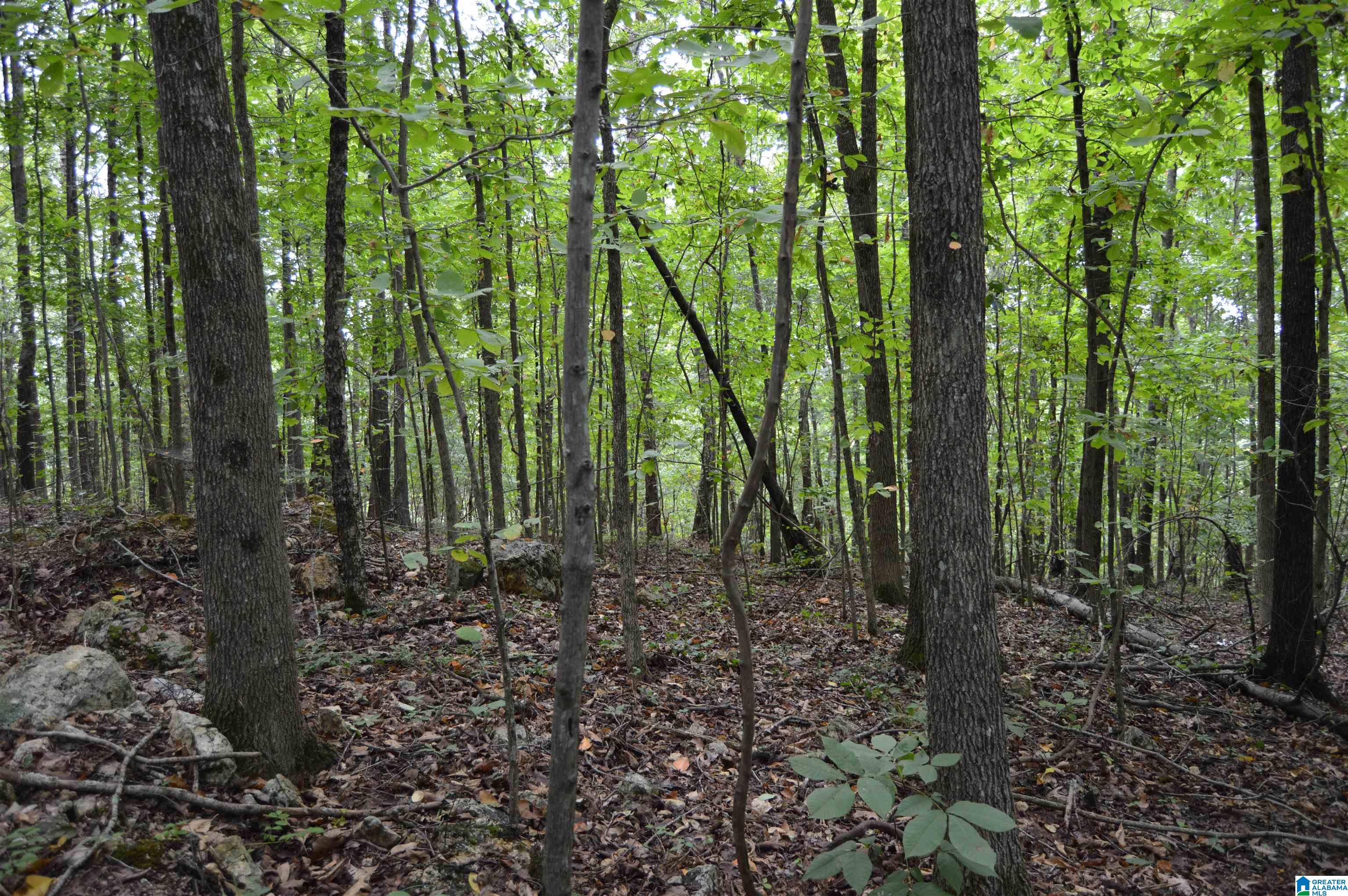 27th image of 1198 Old Margaret Road, Odenville, AL 35120 | MLS# 21461074