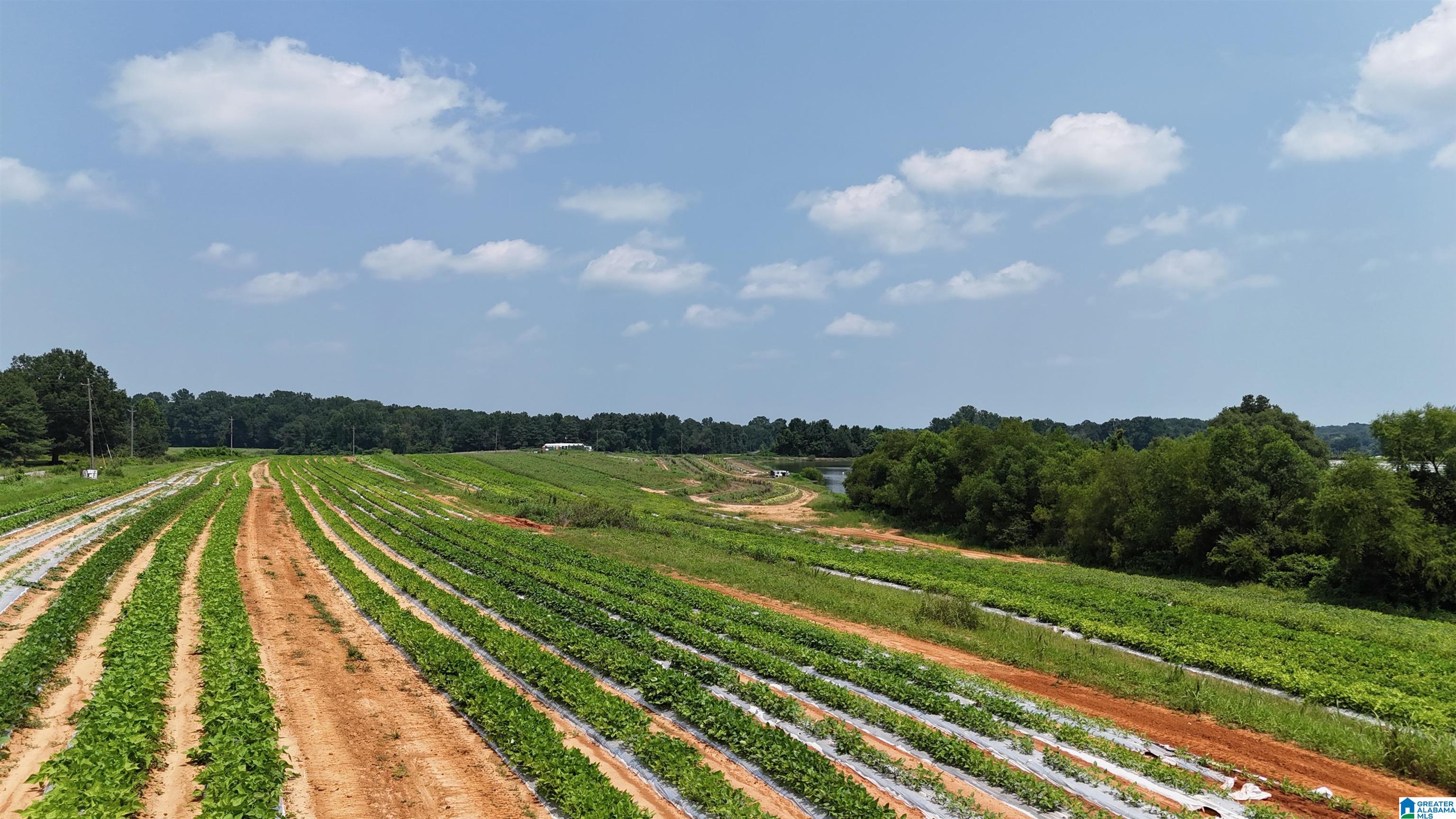 1st image of 2683 County Road 42, Steele, AL 35987 | MLS# 21461115