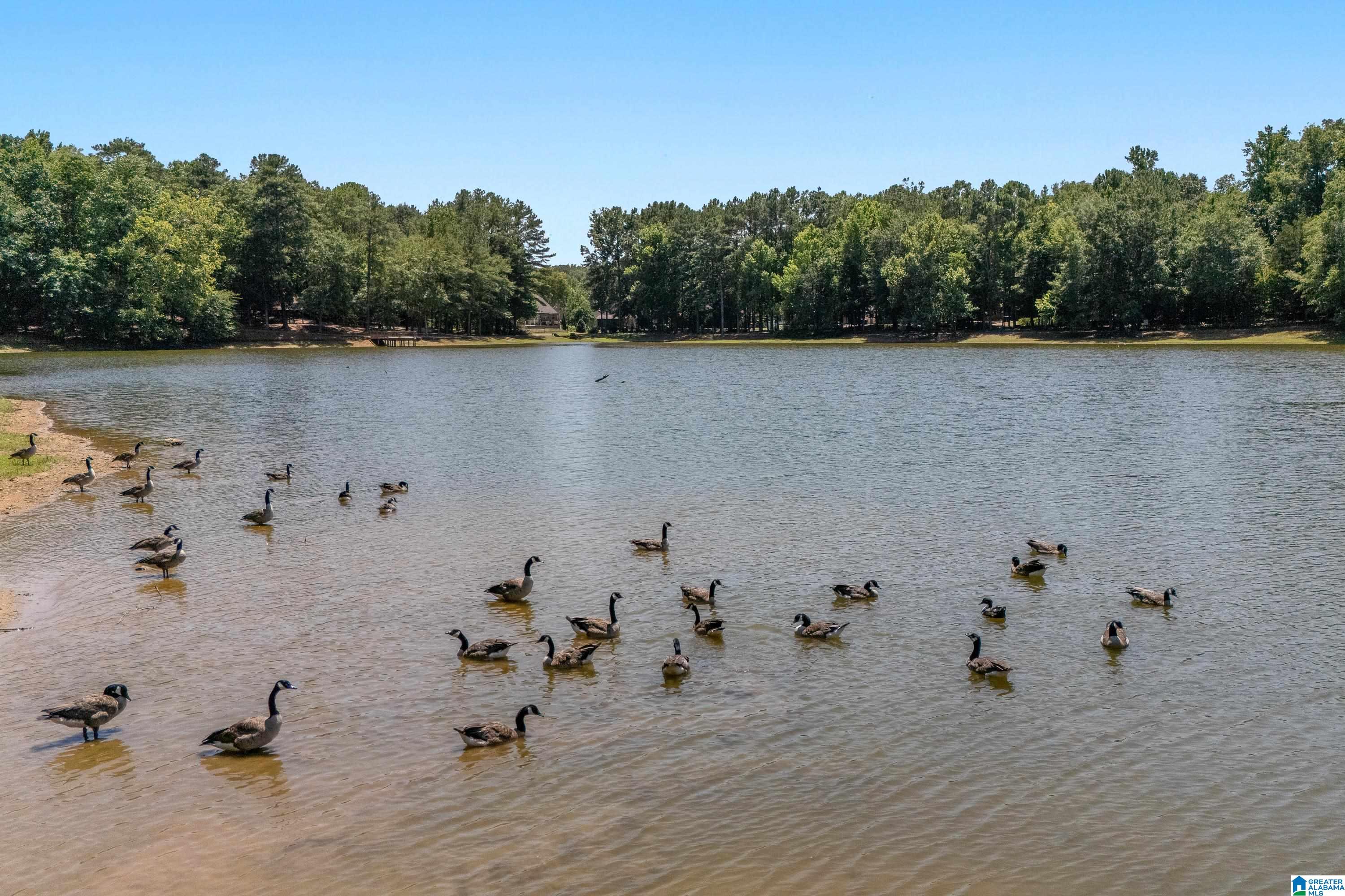 41st image of 144 Red Bay Dr, Alabaster, AL 35114 | MLS# 21461144