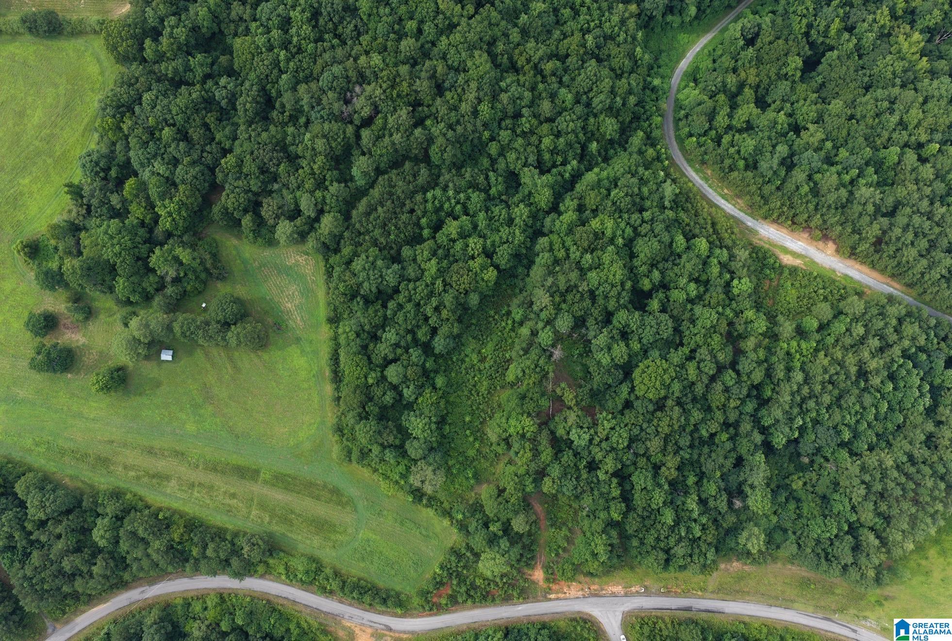 0 COUNTY ROAD 367