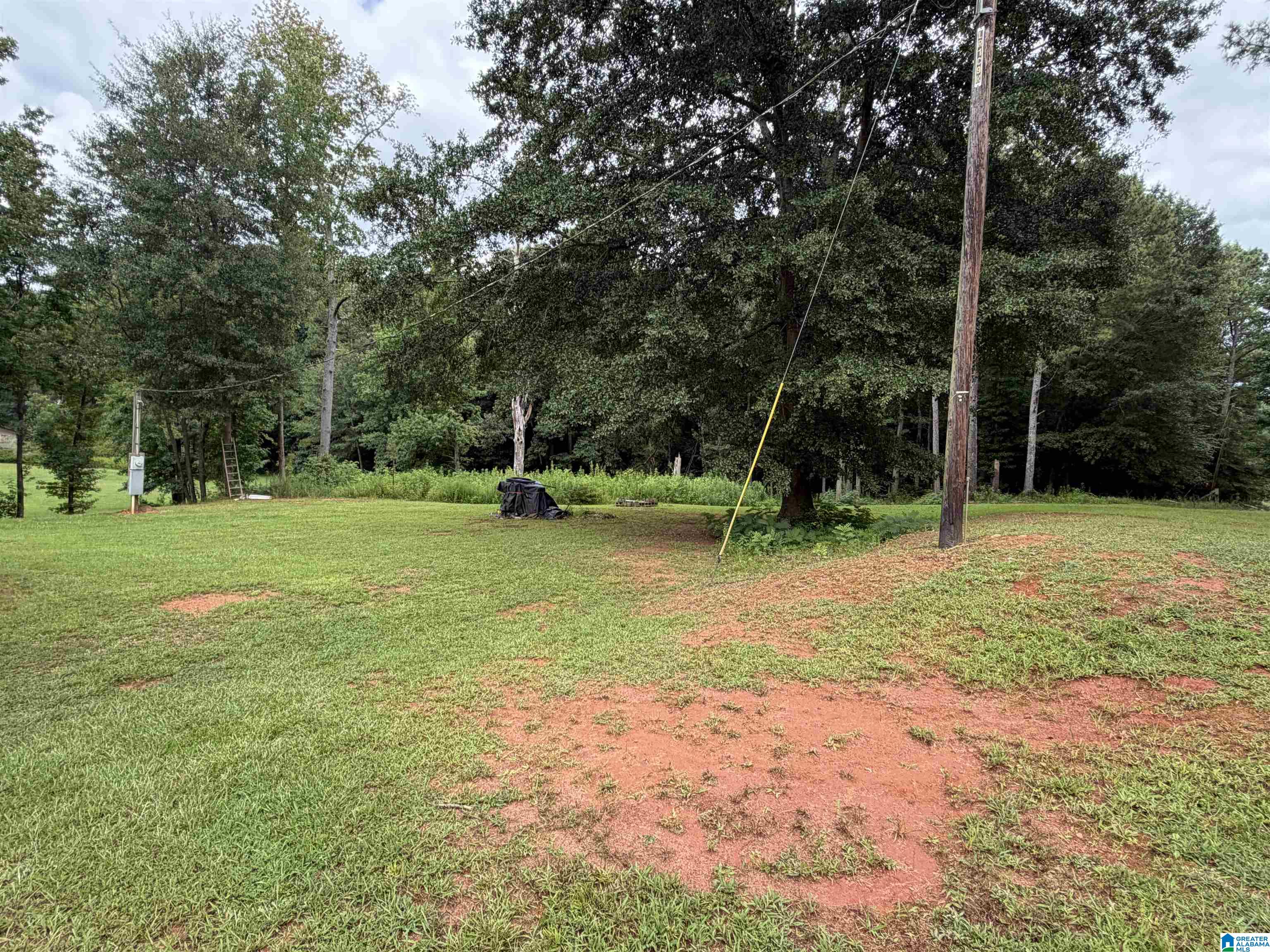 Photo 3 of Single family home for sale at 10743 County Rd 92, Newell, AL 36280 | MLS# 21461211 | Listing updated on 2026-08-05