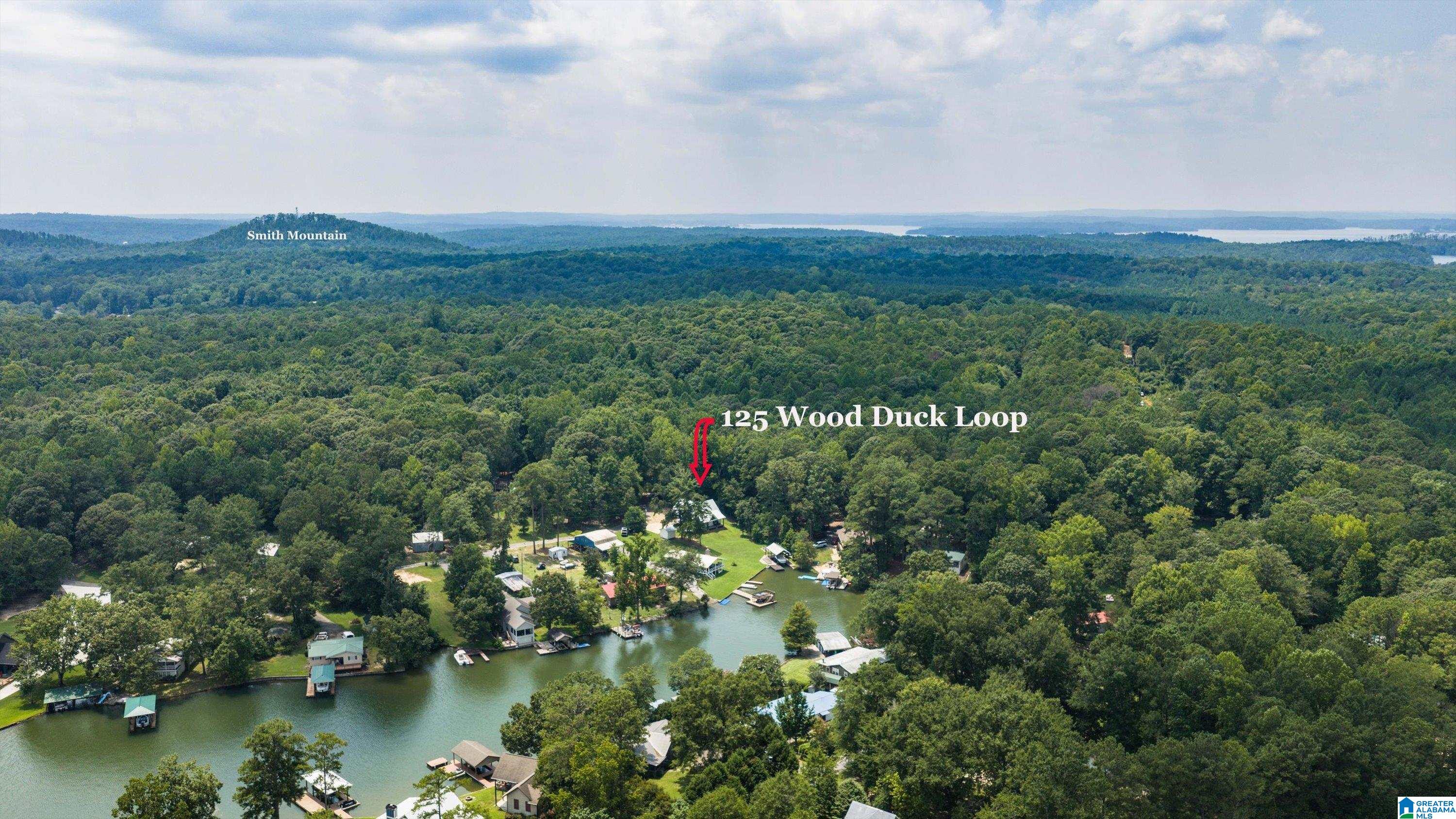 44th image of 125 Wood Duck Loop, Jacksons Gap, AL 36861 | MLS# 21461260