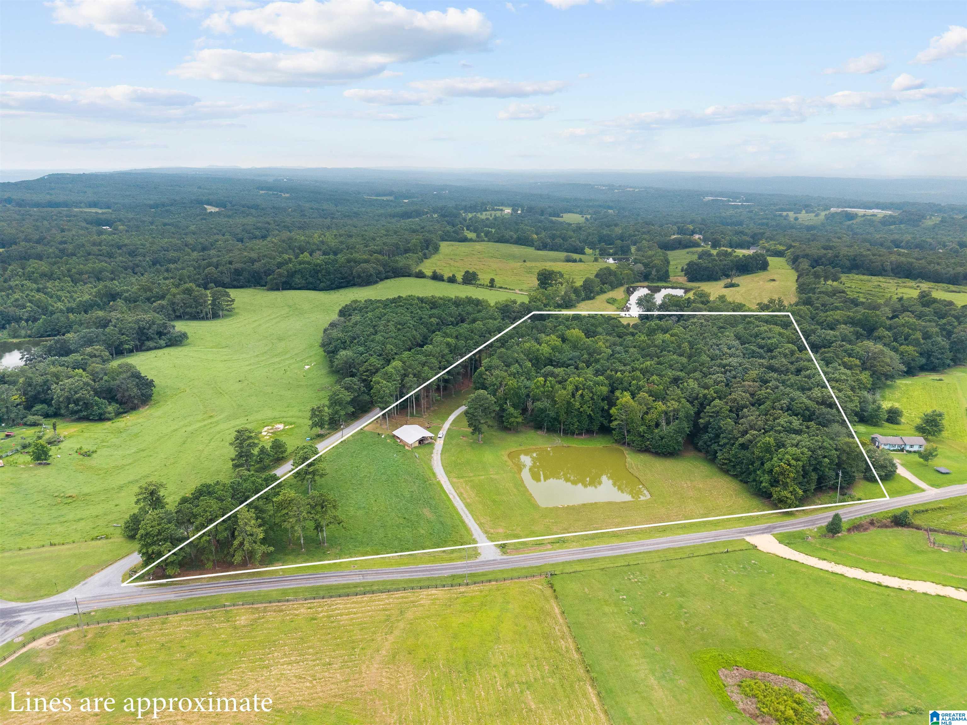 4th image of 9869 County Hwy 24, Oneonta, AL 35121 | MLS# 21461323
