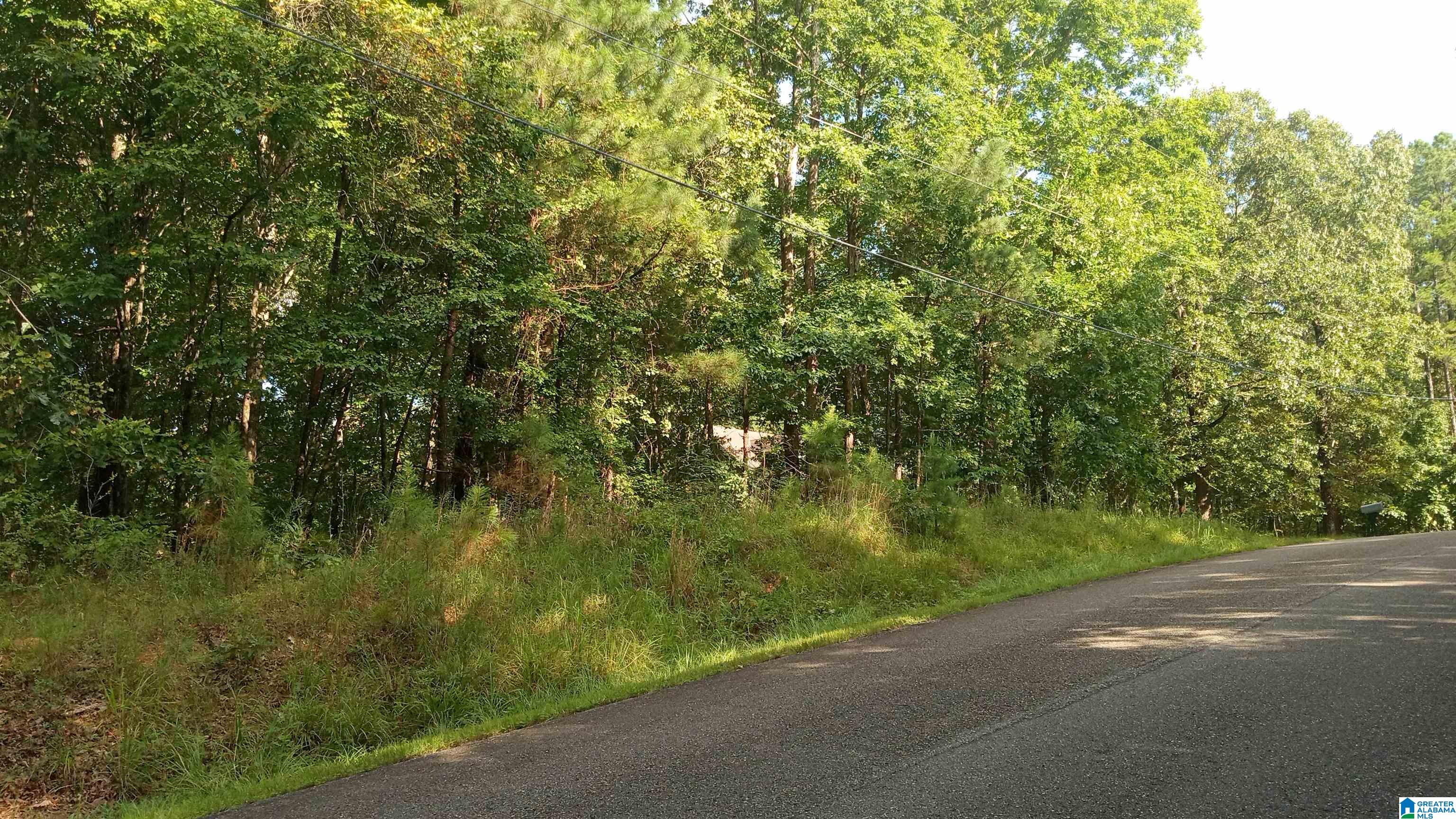 2nd image of Peyton Dr, Mc Calla, AL 35111 | MLS# 21461417