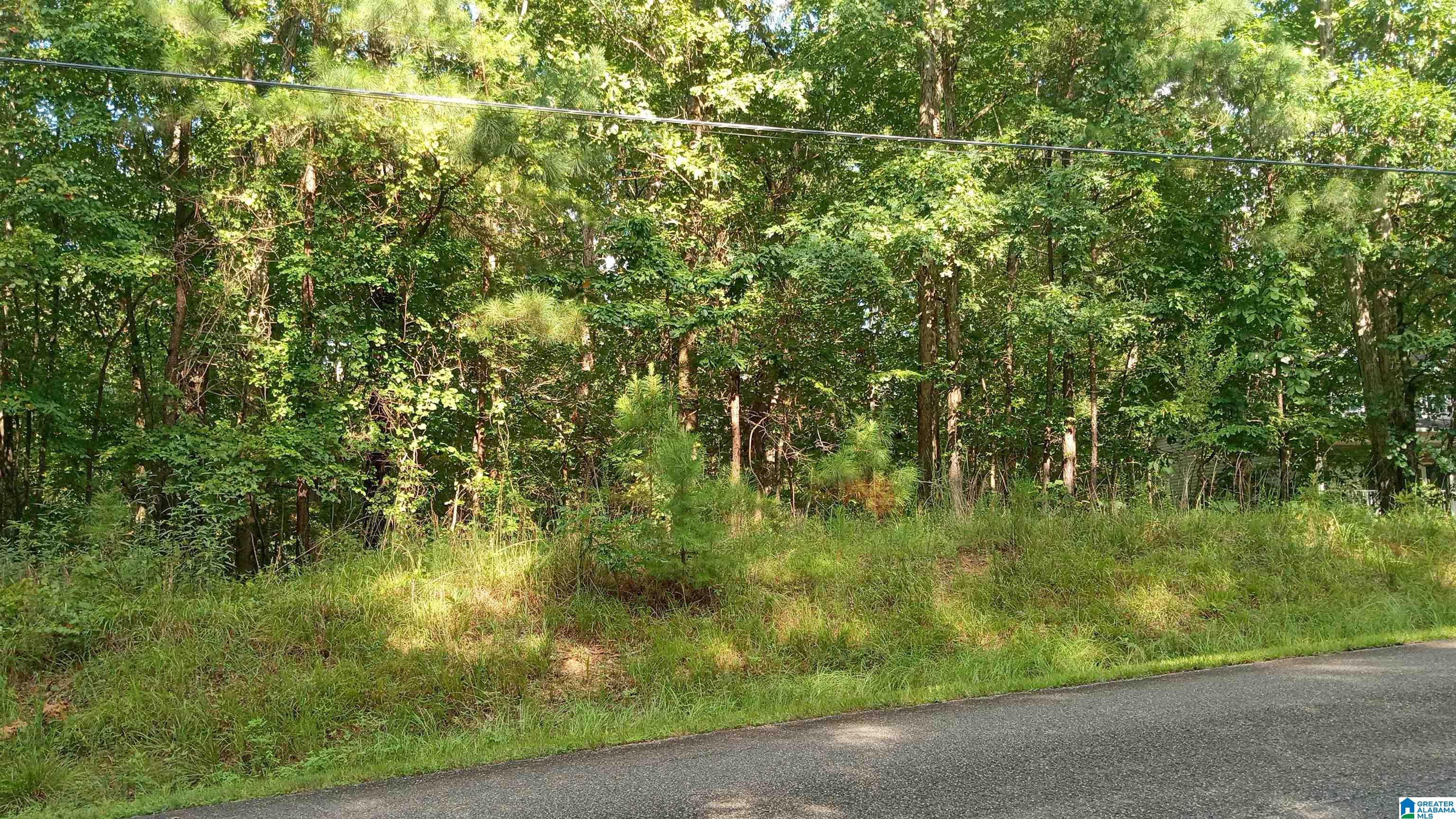 3rd image of Peyton Dr, Mc Calla, AL 35111 | MLS# 21461417