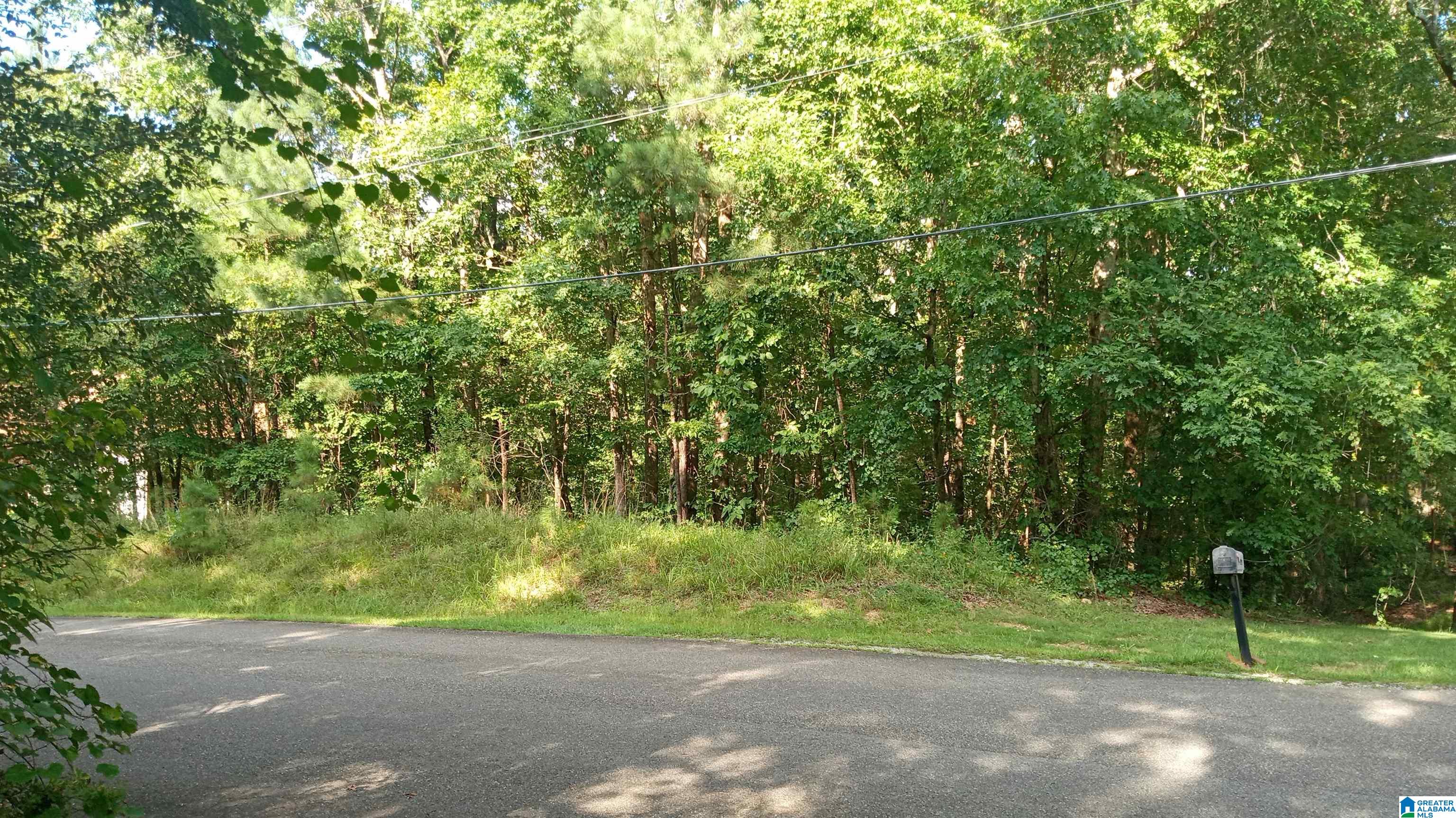 4th image of Peyton Dr, Mc Calla, AL 35111 | MLS# 21461417