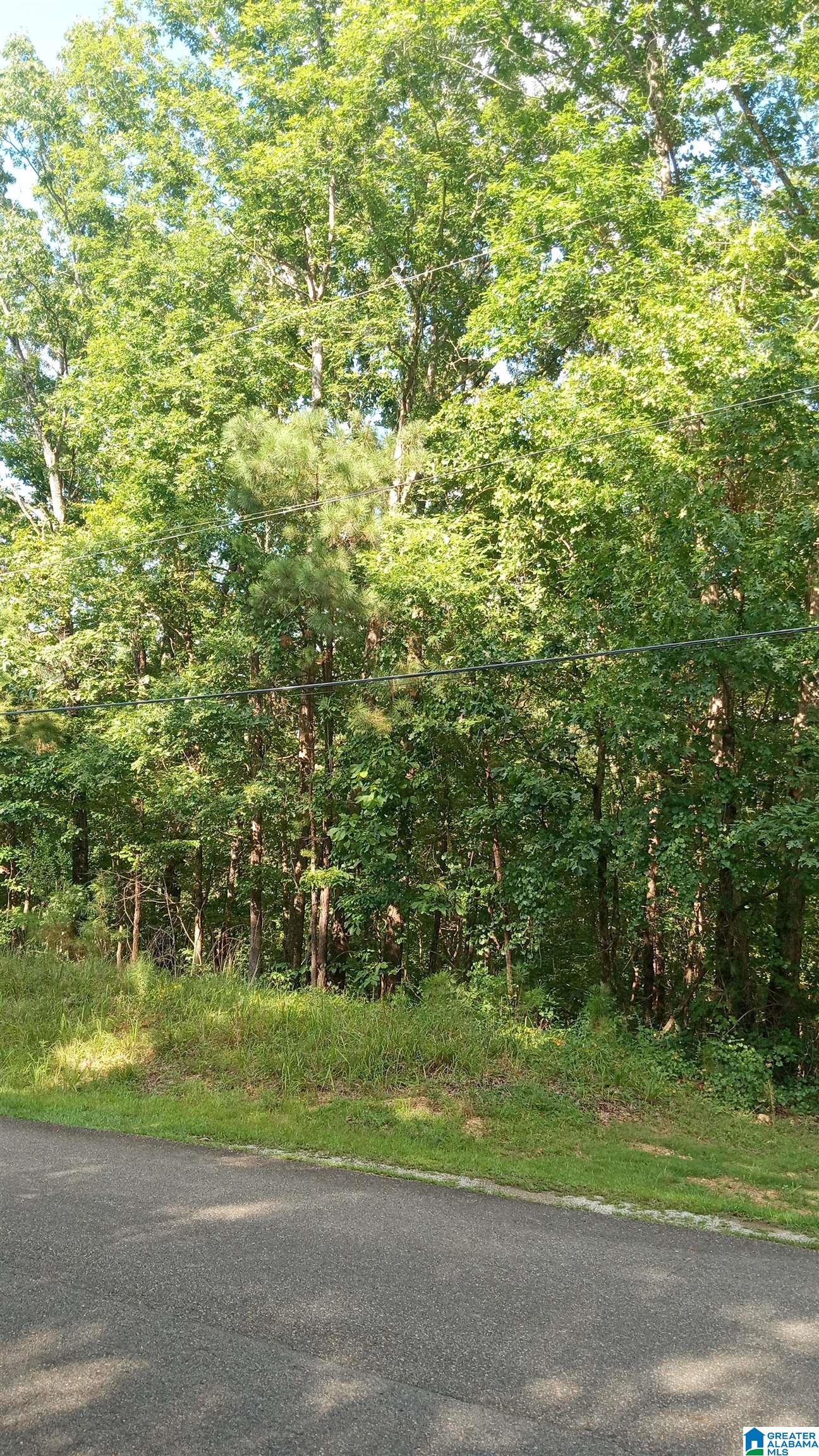 6th image of Peyton Dr, Mc Calla, AL 35111 | MLS# 21461417