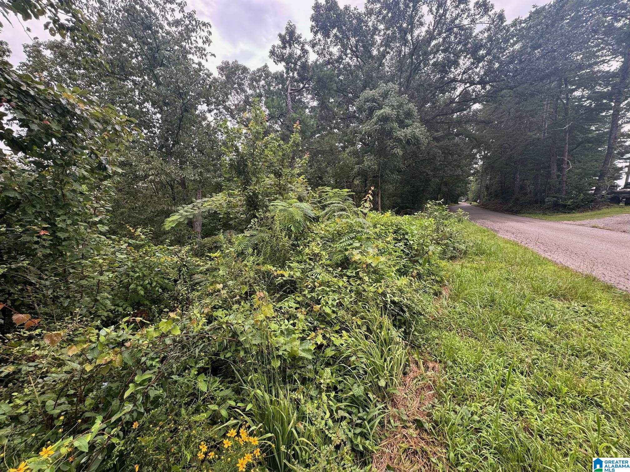 1st image of 0 Levine Road, Odenville, AL 35120 | MLS# 21461518