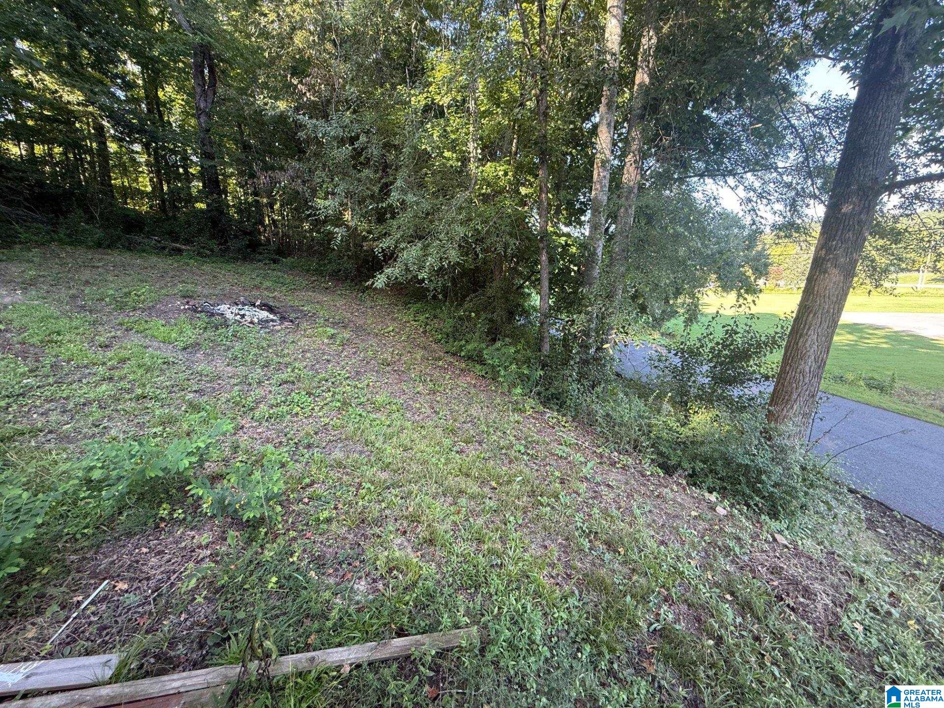 36th image of 3006 Lindsay Street, Altoona, AL 35952 | MLS# 21461525