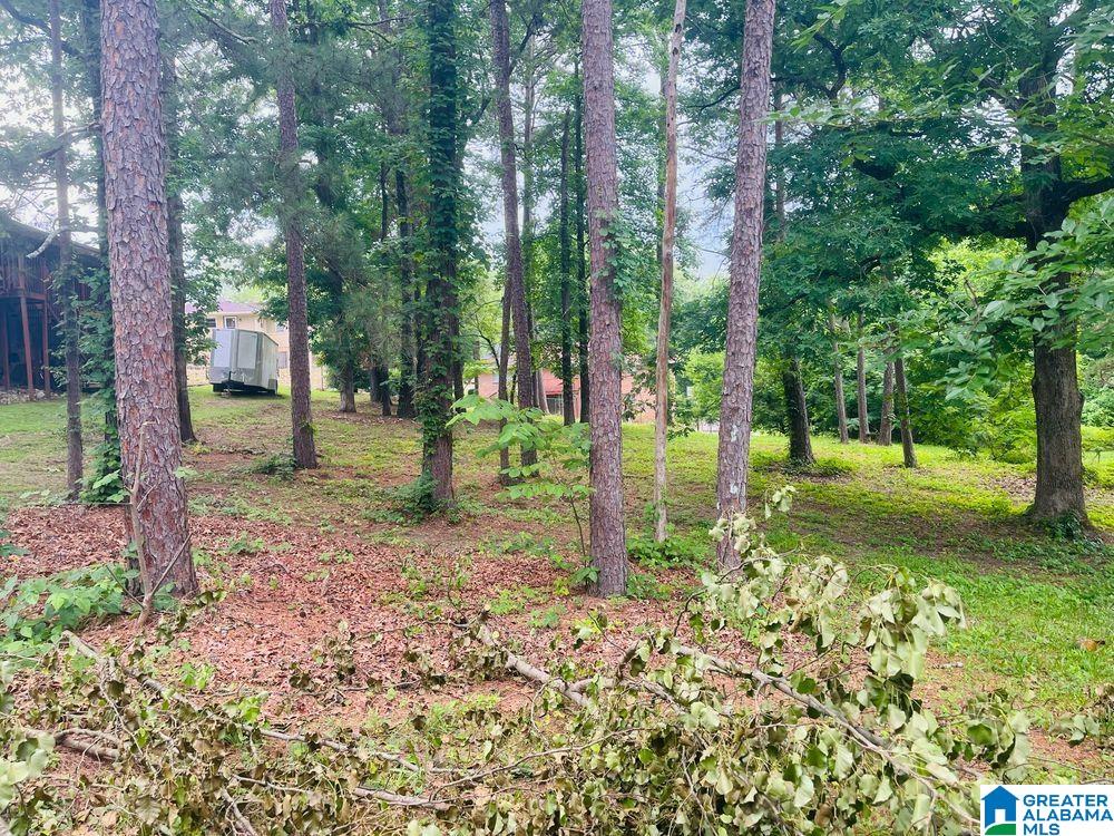 Photo 3 of Land for sale at 9906 Bates Ave, Birmingham, AL 35217 | MLS# 21461564 | Listing updated on 2026-08-08