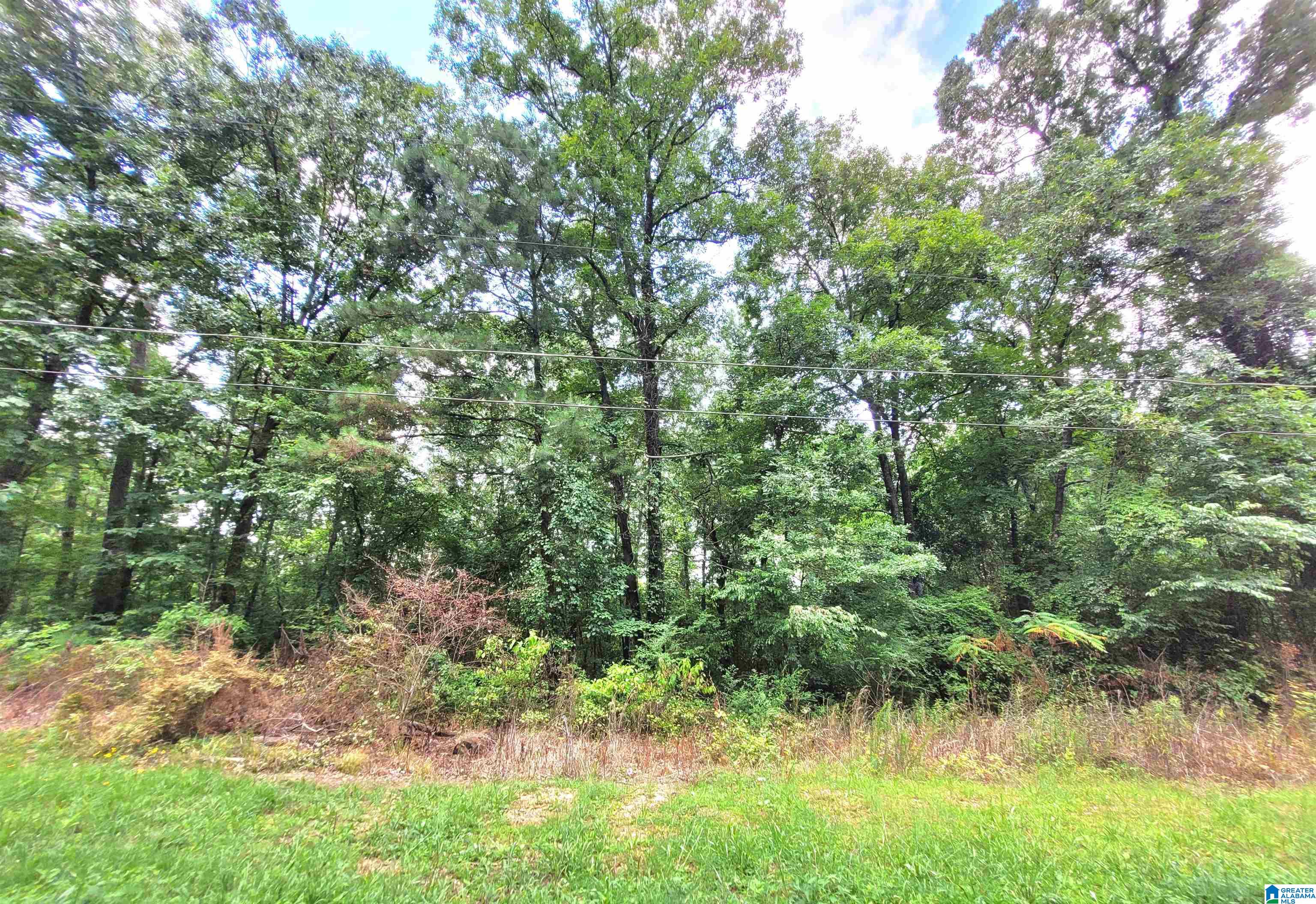 1st image of 000 Bryan Street, Talladega, AL 35160 | MLS# 21461589
