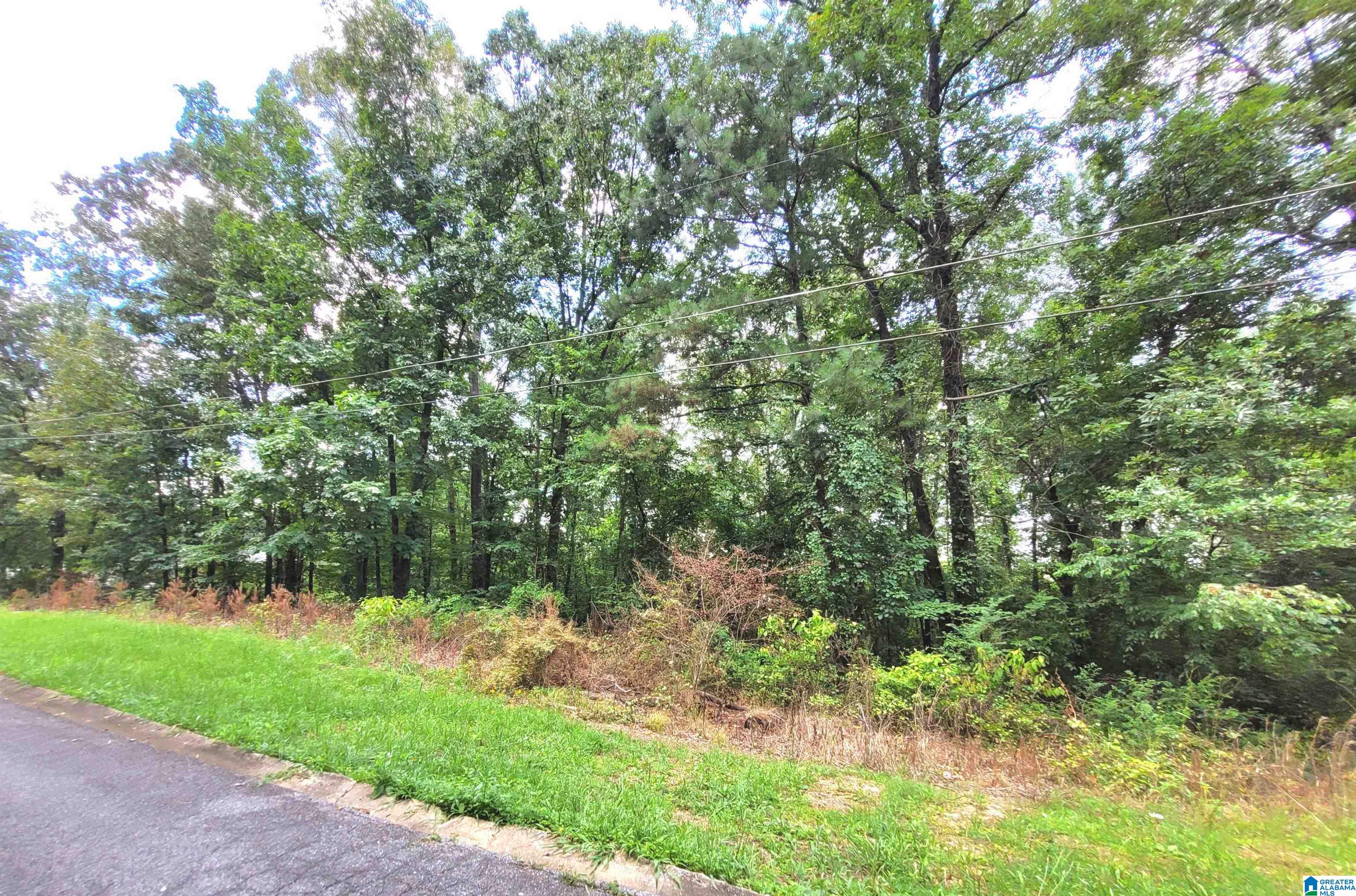 2nd image of 000 Bryan Street, Talladega, AL 35160 | MLS# 21461589