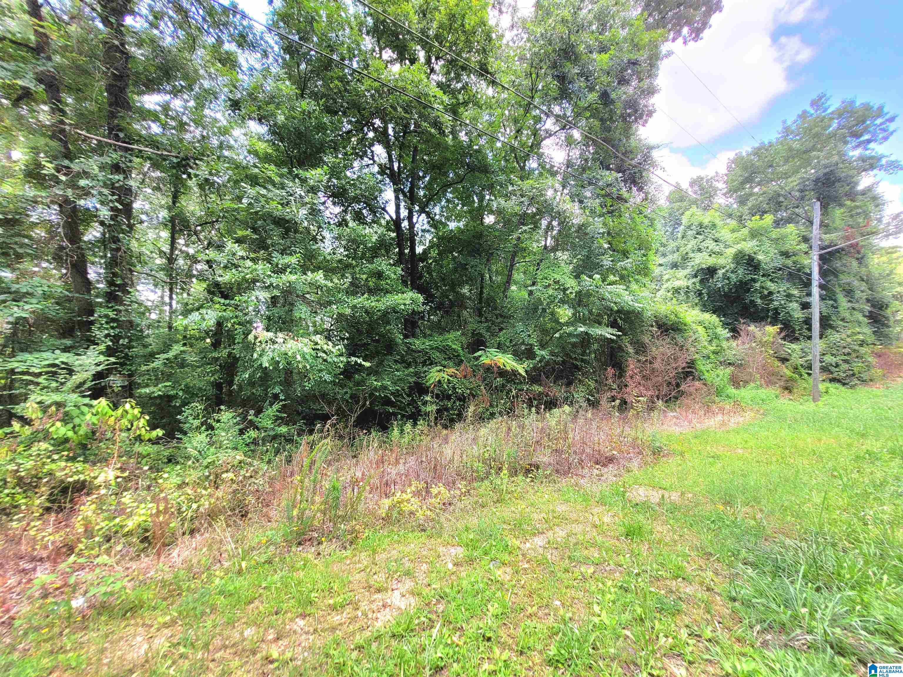 3rd image of 000 Bryan Street, Talladega, AL 35160 | MLS# 21461589