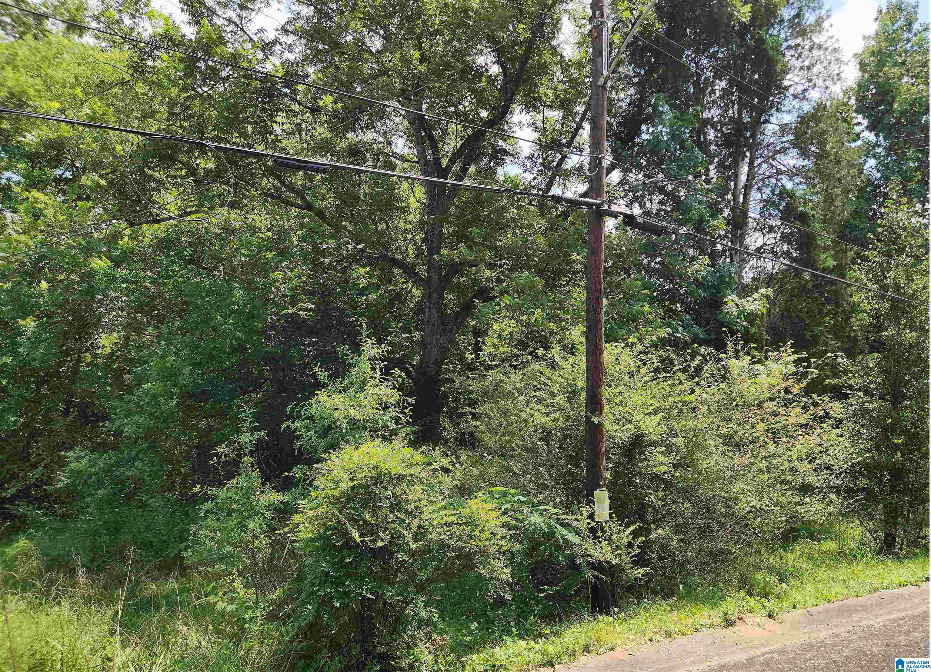 Photo 7 of Land for sale at 307 2nd Avenue, Mulga, AL 35118 | MLS# 21461627 | Listing updated on 2026-08-09