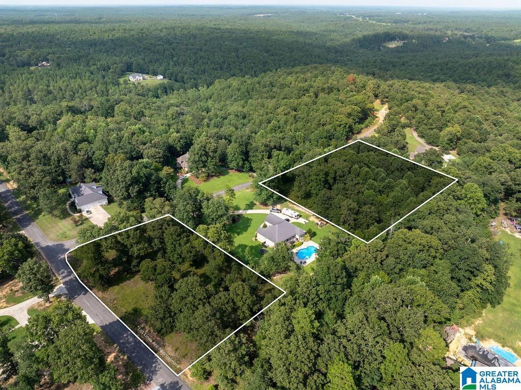 2nd image of 000 Estates Dr, Jasper, AL 35504 | MLS# 21461638