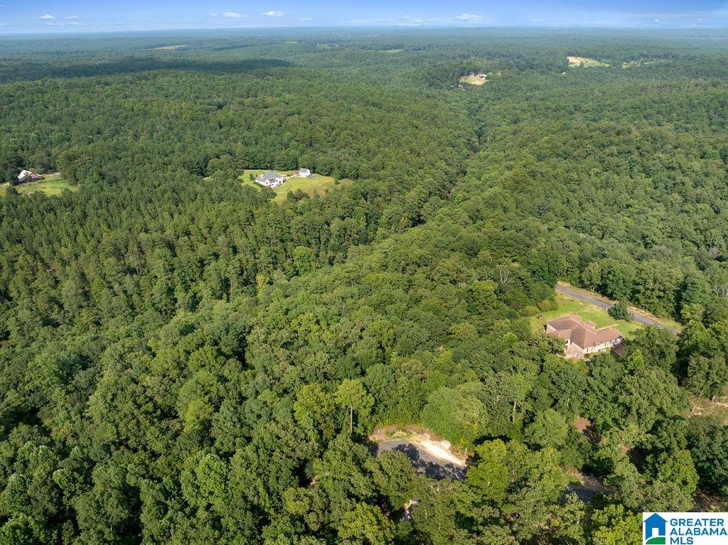 13th image of 000 Estates Dr, Jasper, AL 35504 | MLS# 21461638